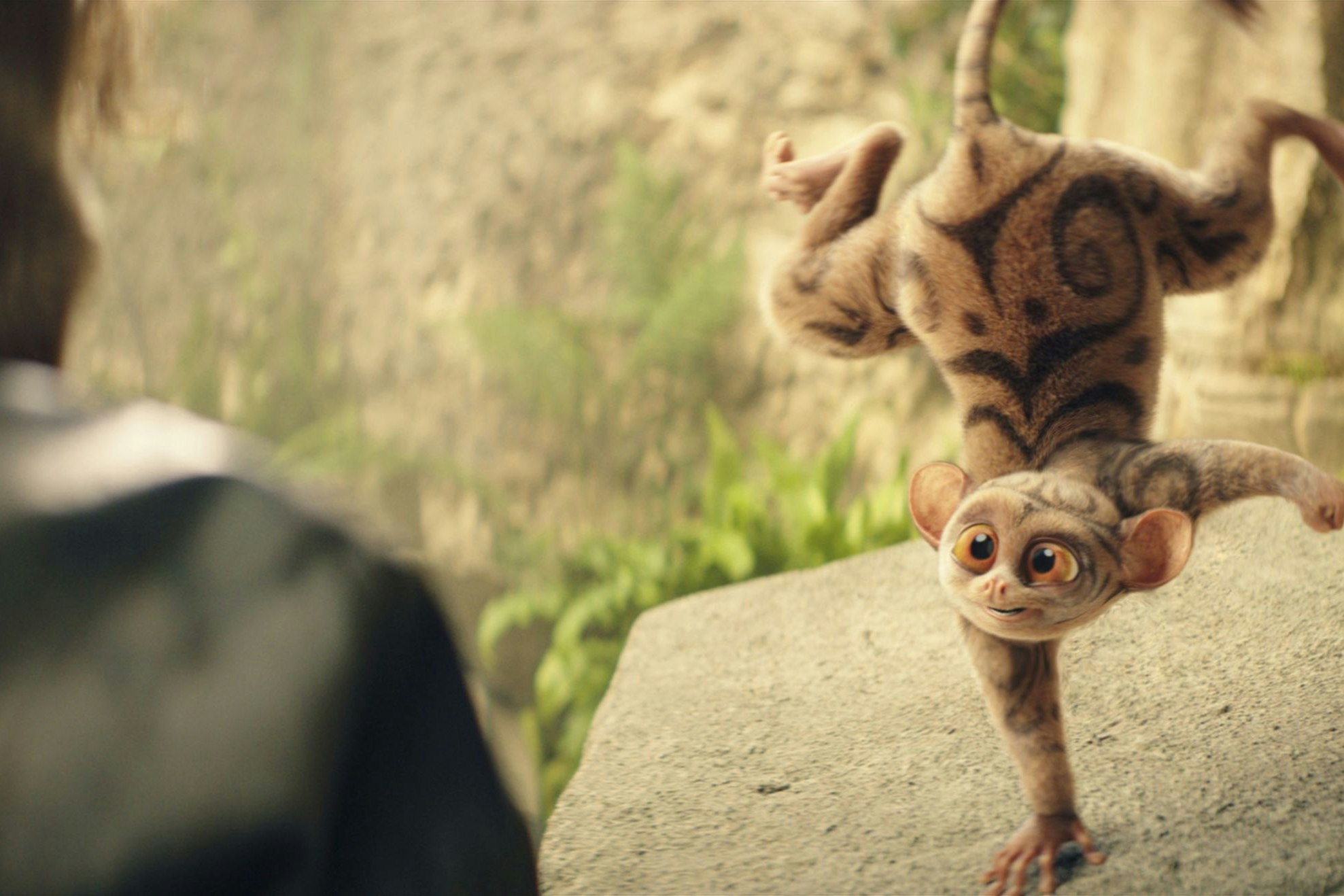 Koboldmaki Fitzgeraldo in "Die Schule der magischen Tiere 4"
