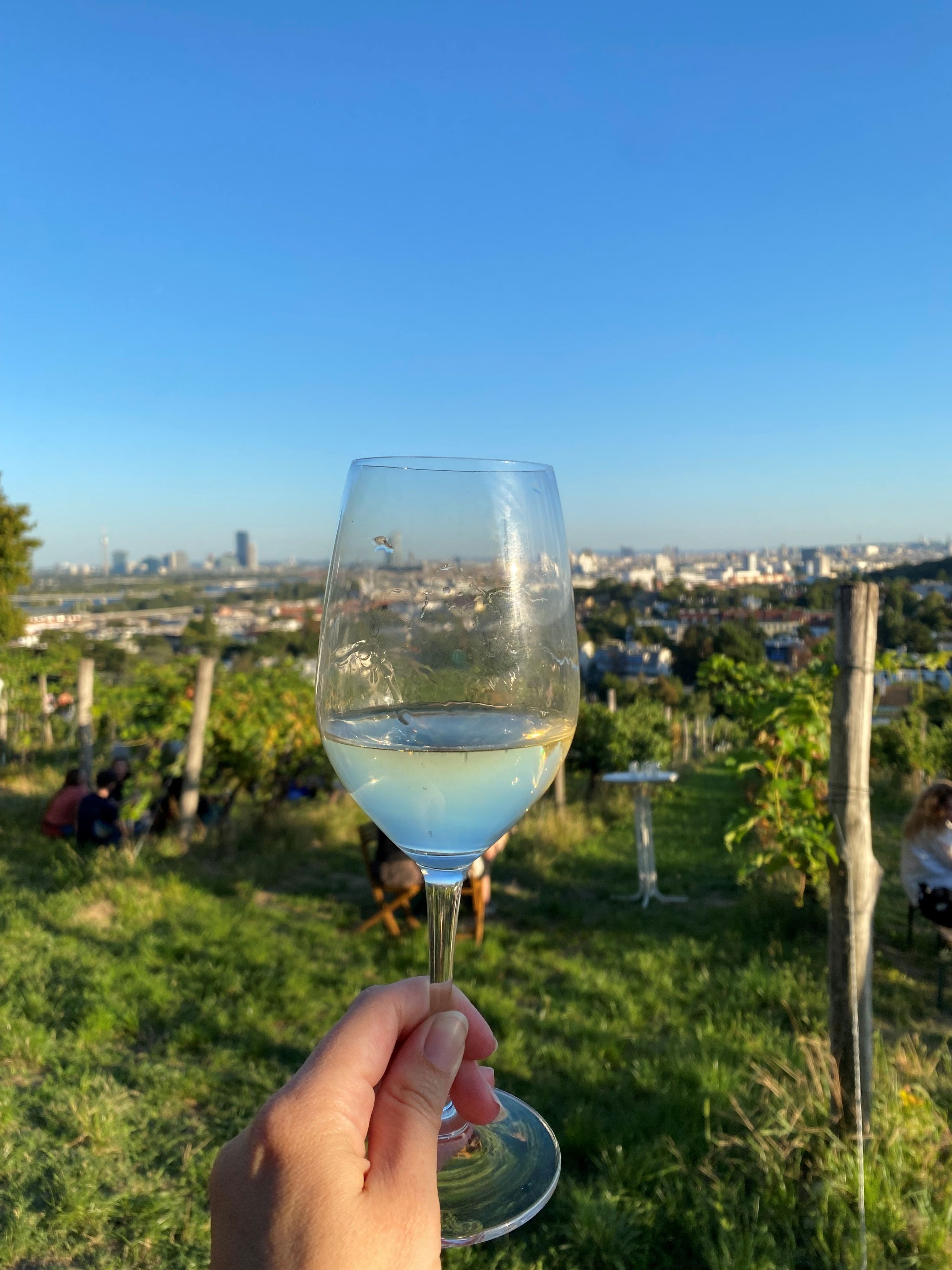 Genuss mit bester Aussicht beim 18. Wiener Weinwandertag.