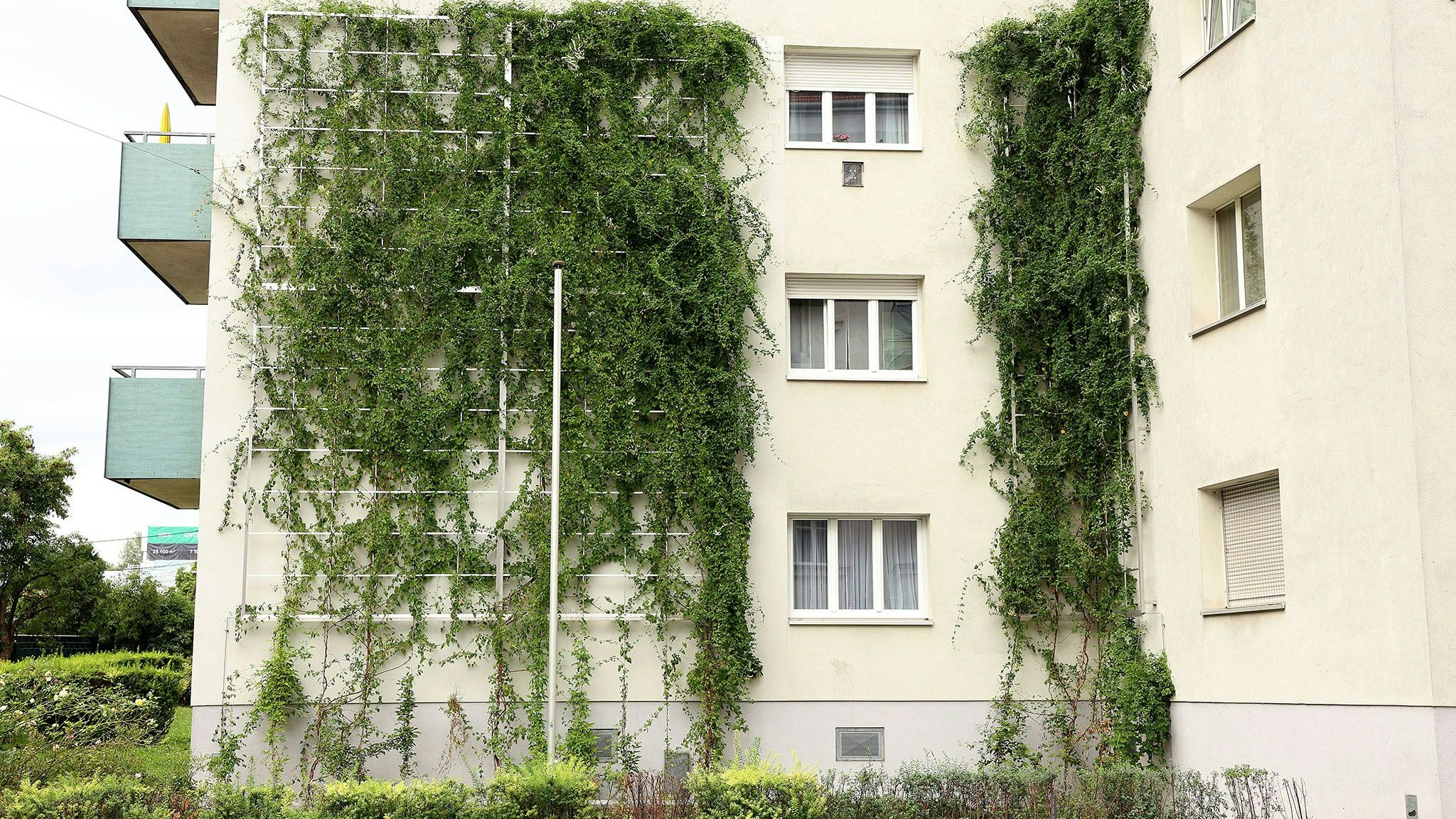 Heute.at - Gegen Hitze – Simmering begrünt weitere Gemeindebauten