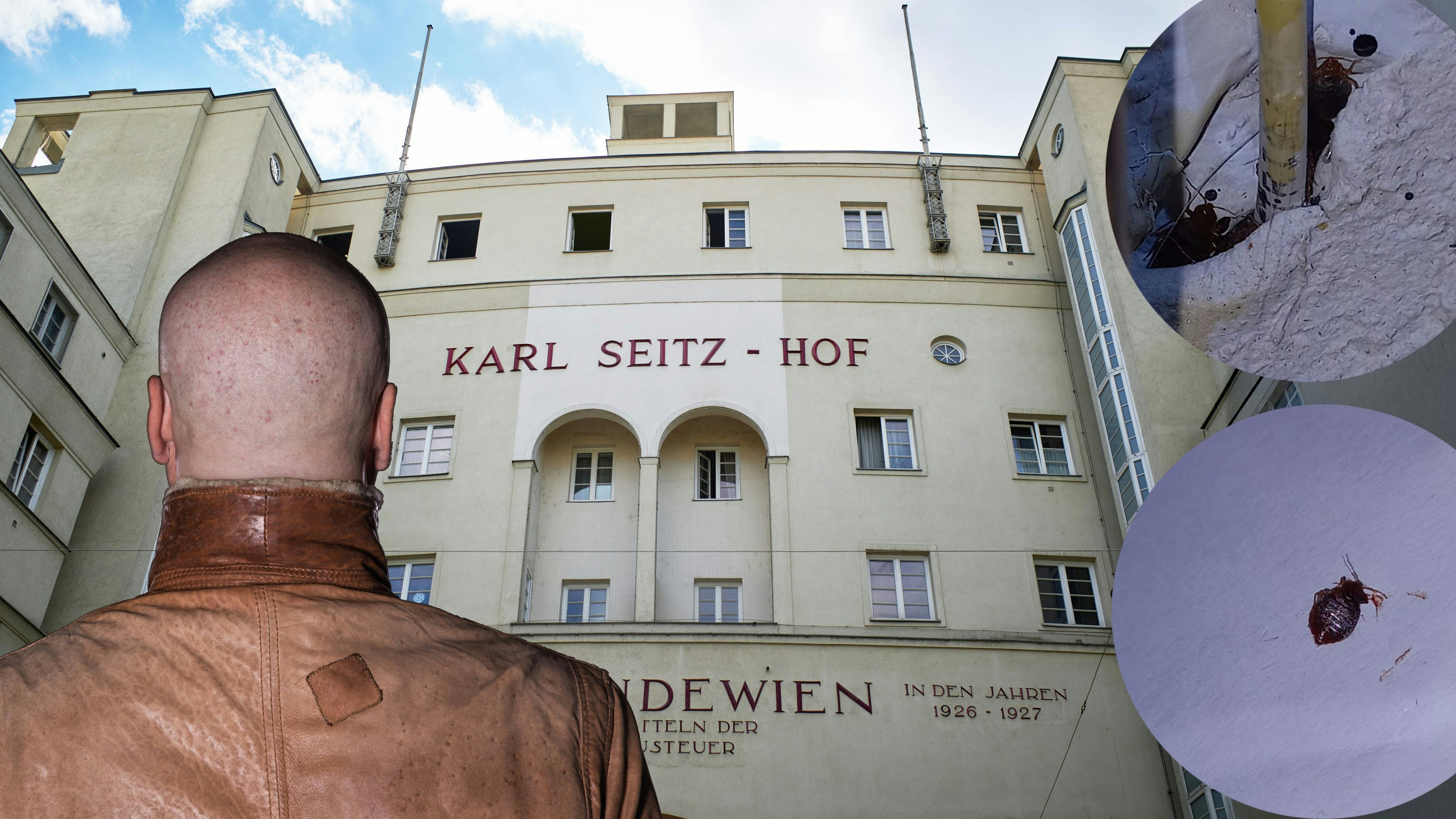 Heute.at - Bettwanzen im Gemeindebau – Mein ganzes Bett krabbelt