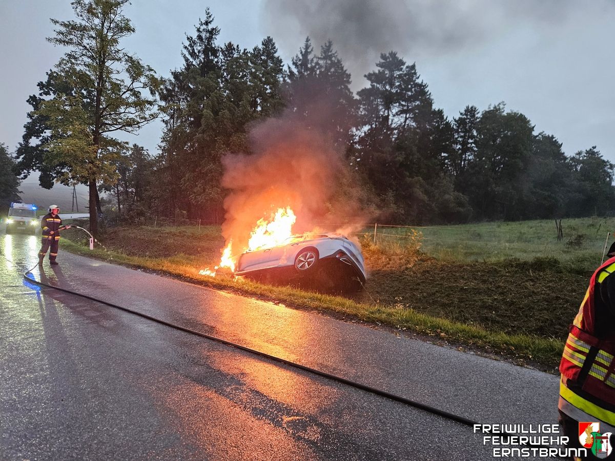 Das Hybridfahrzeug rutschte in den Straßengraben, prallte gegen ein Betonrohr und ging in Flammen auf.