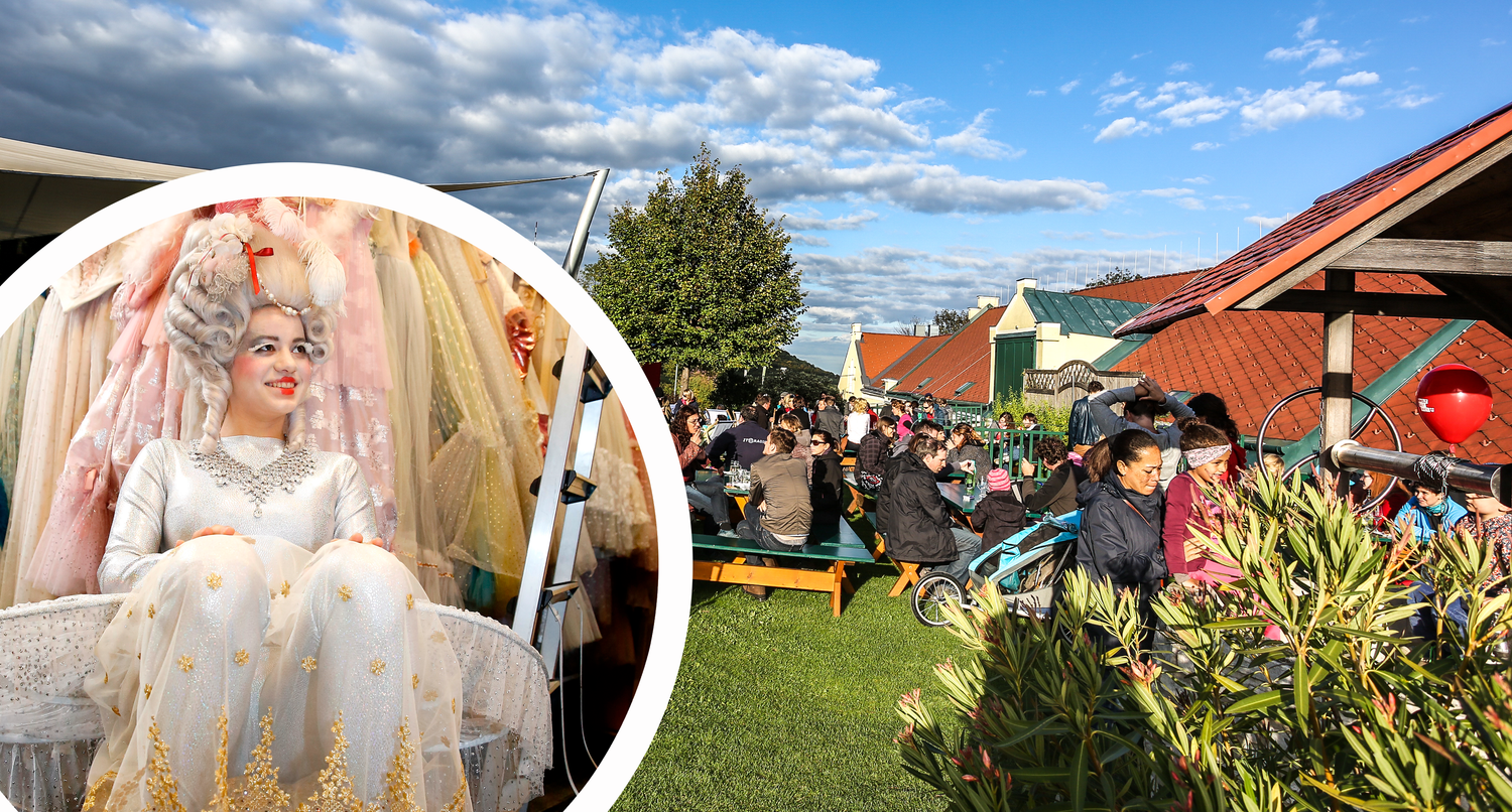 Heute.at - Stöbern und Schlemmen – Buntes Programm am Wochenende