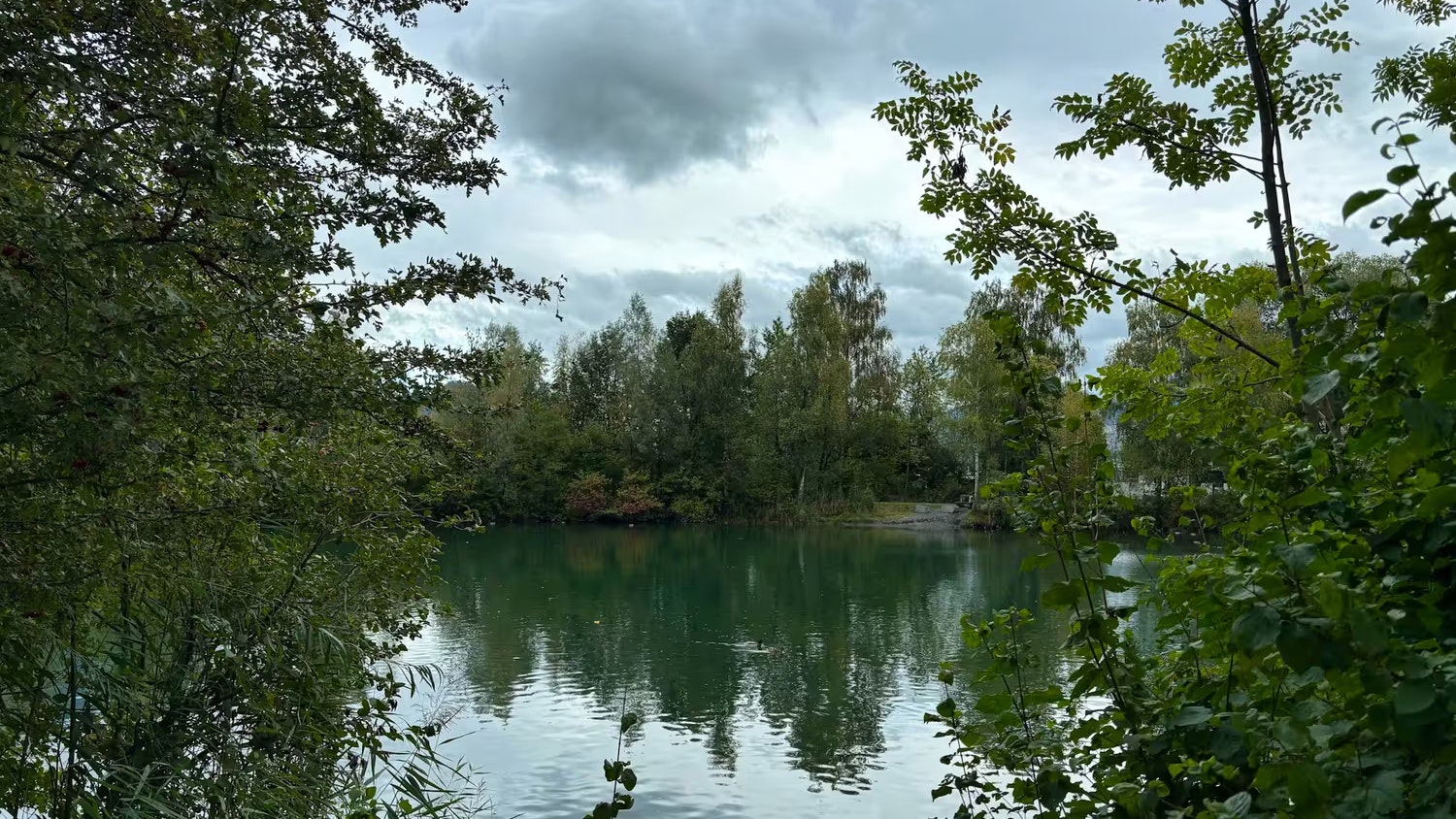 Heute.at - Masturbierte vor Frauen – Asylwerber terrorisiert Ort