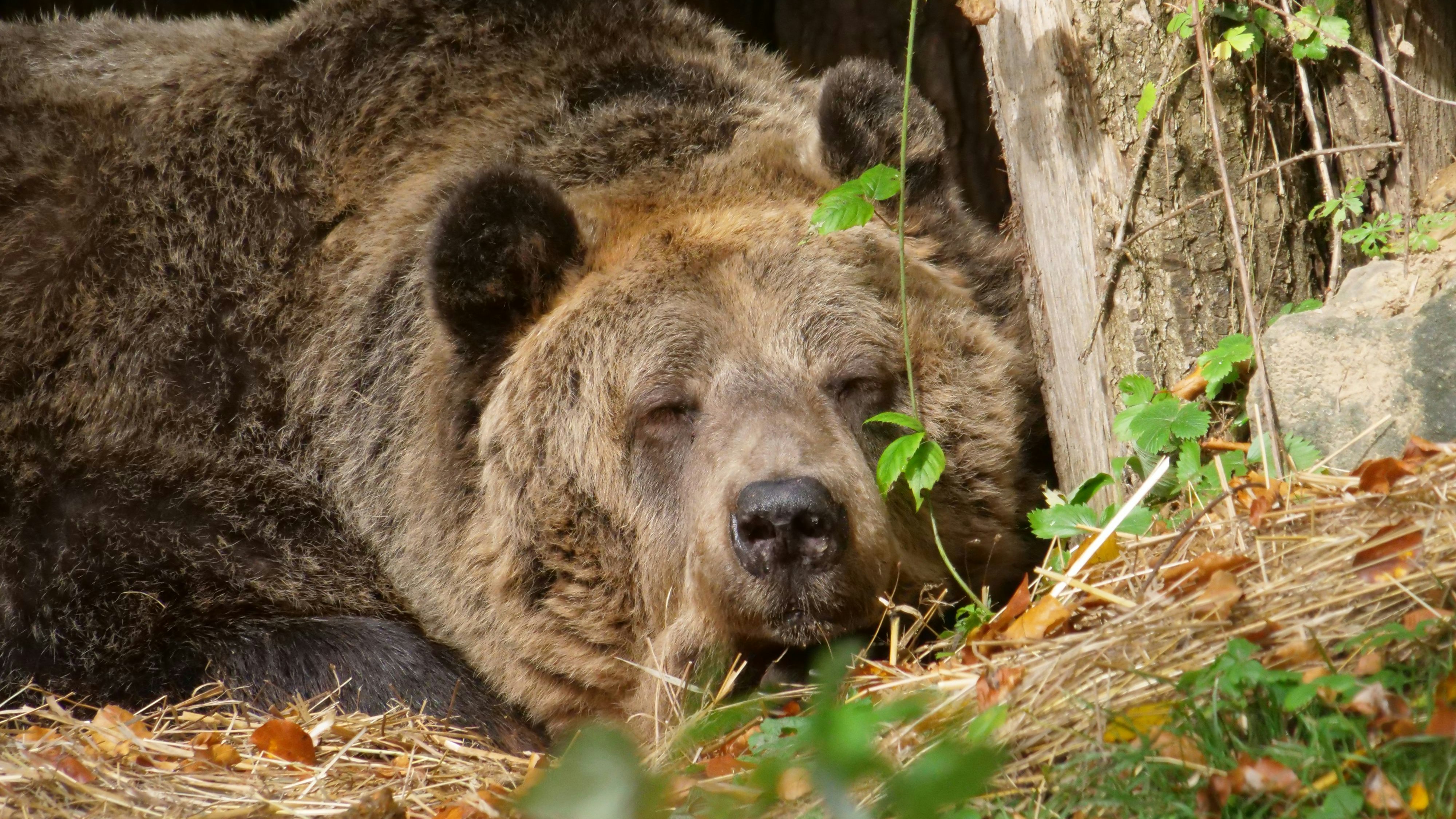 Du wirst uns fehlen, Mark...