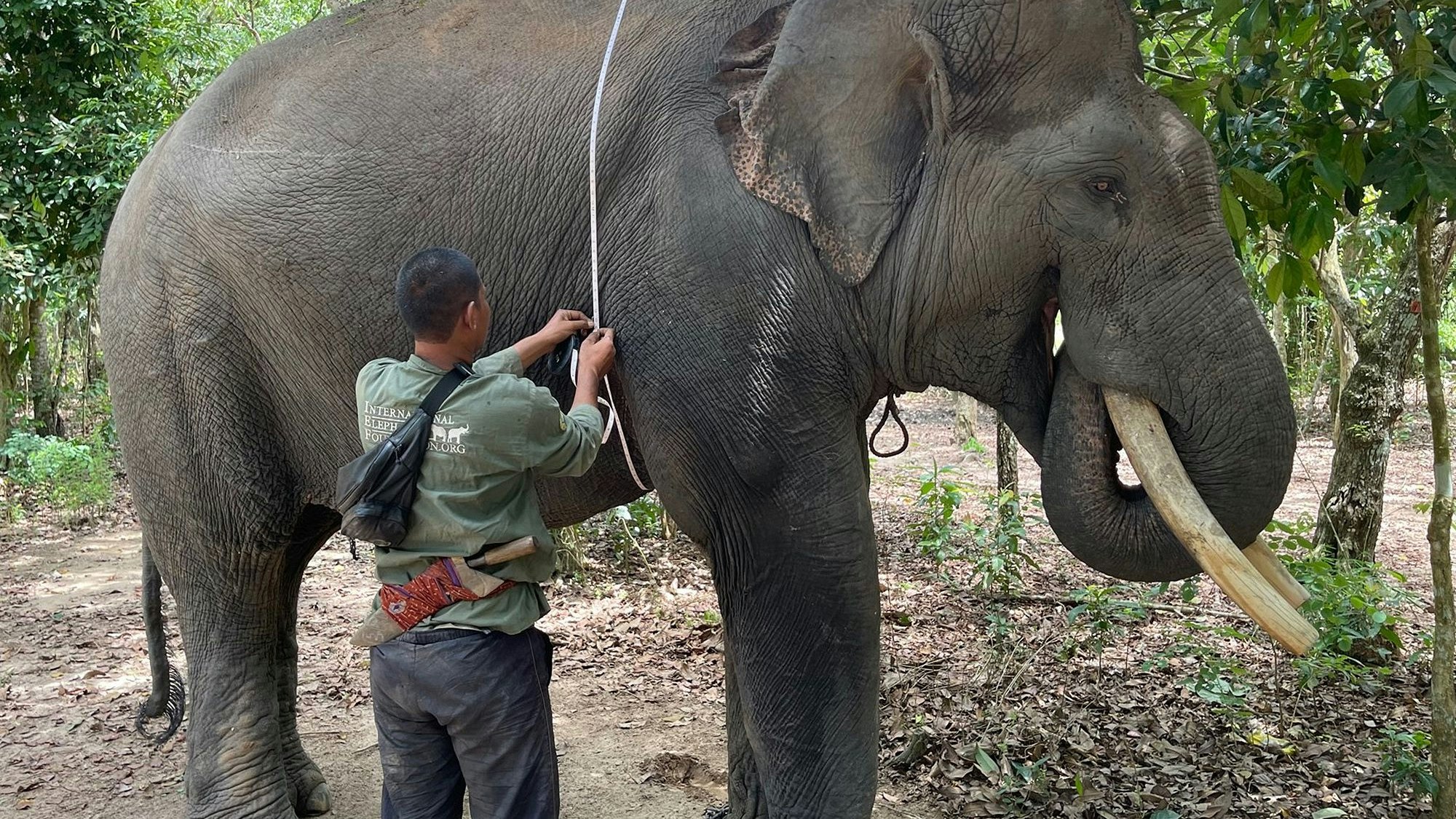 Nach seiner Rettung hat "Rendi" wieder gut an Gewicht zugelegt. 