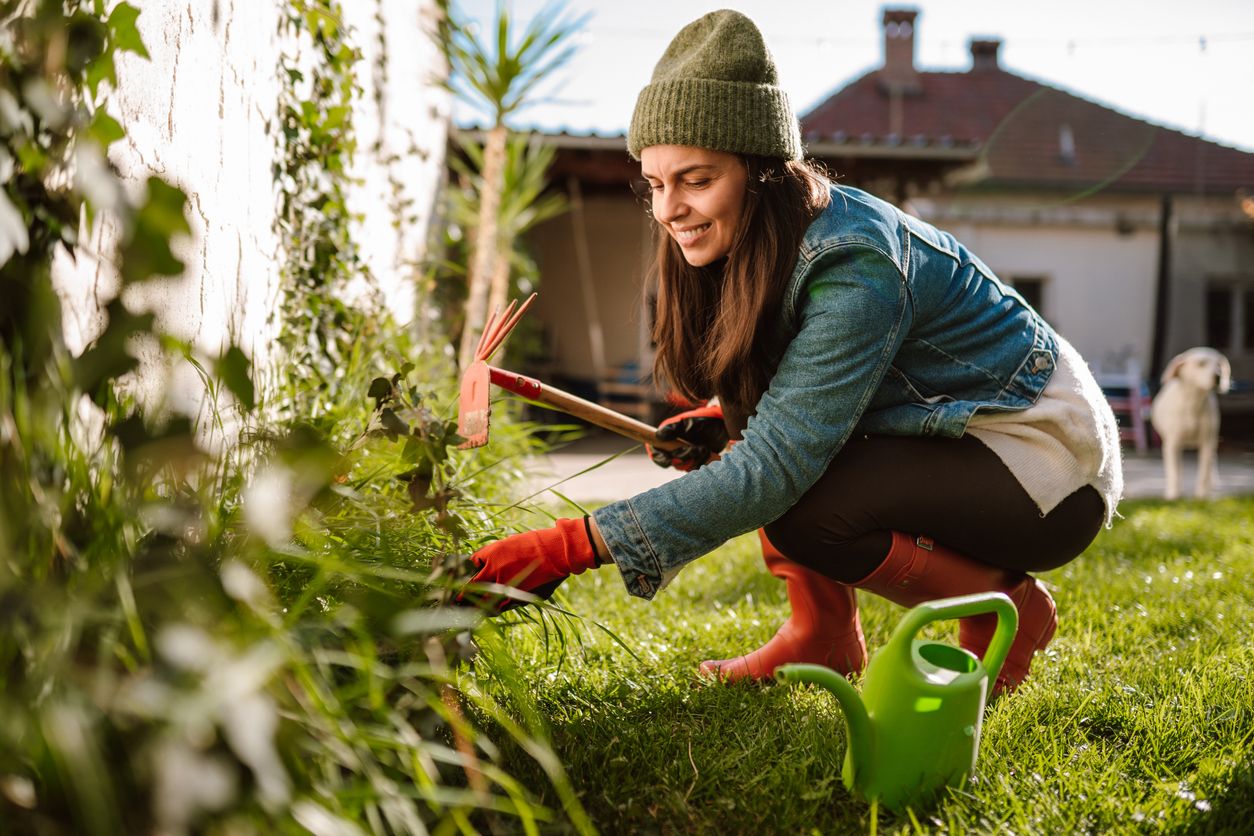 Im Herbst kannst du jetzt, deinen Garten für das kommende Jahr vorzubereiten und Blumenzwiebeln einzupflanzen.