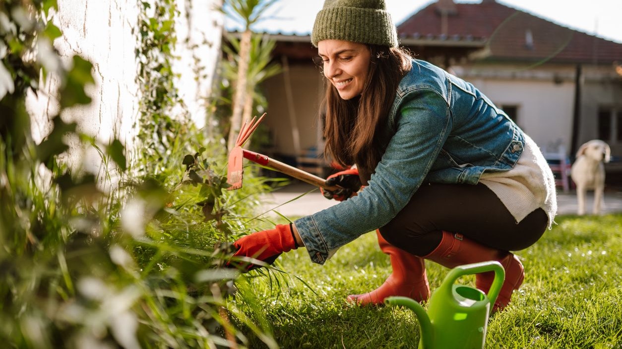 Heute.at - Das solltest du jetzt unbedingt in deinem Garten machen