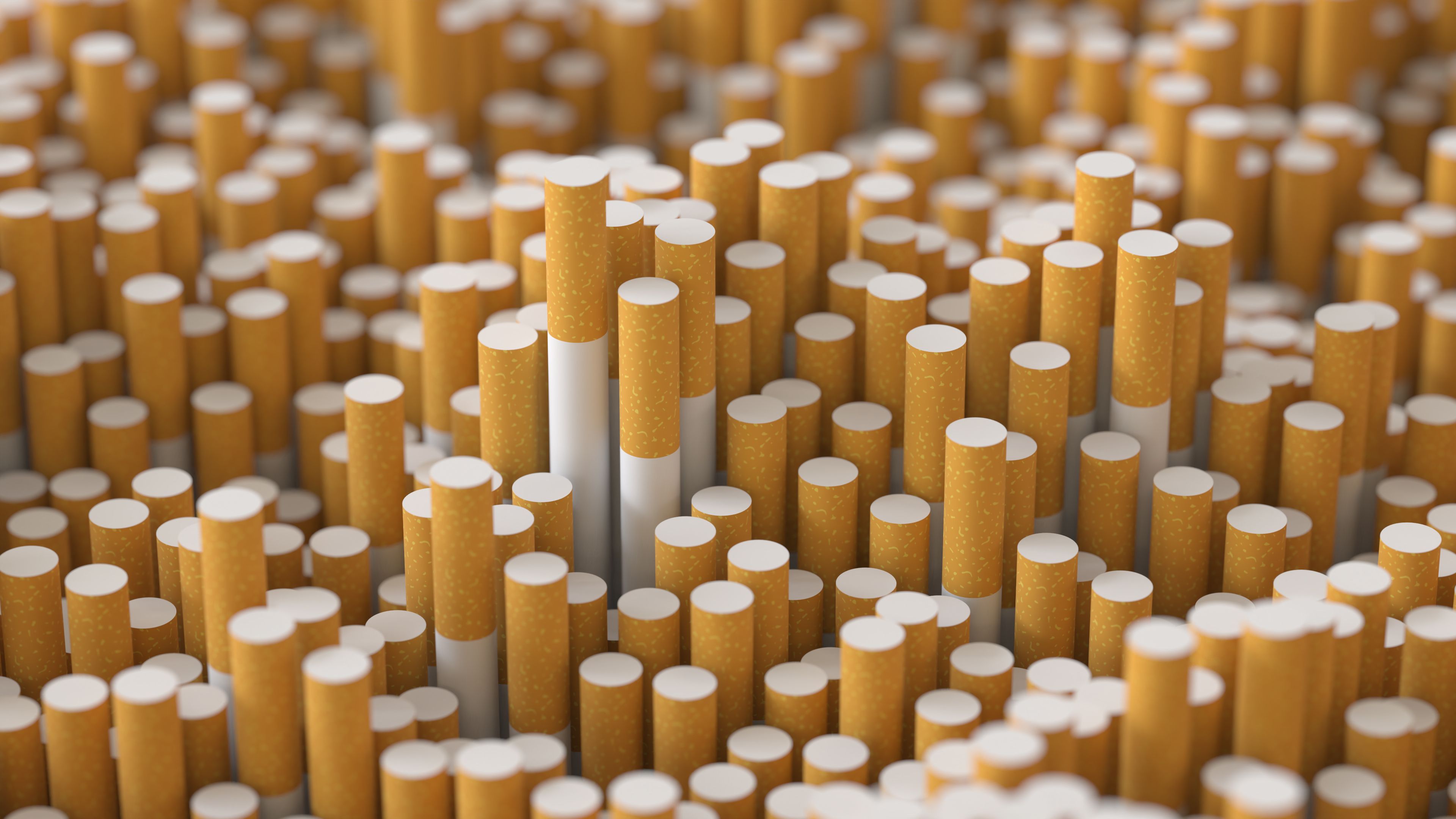 Die Beamten haben mehr als 150 Tonnen Zigaretten sichergestellt.