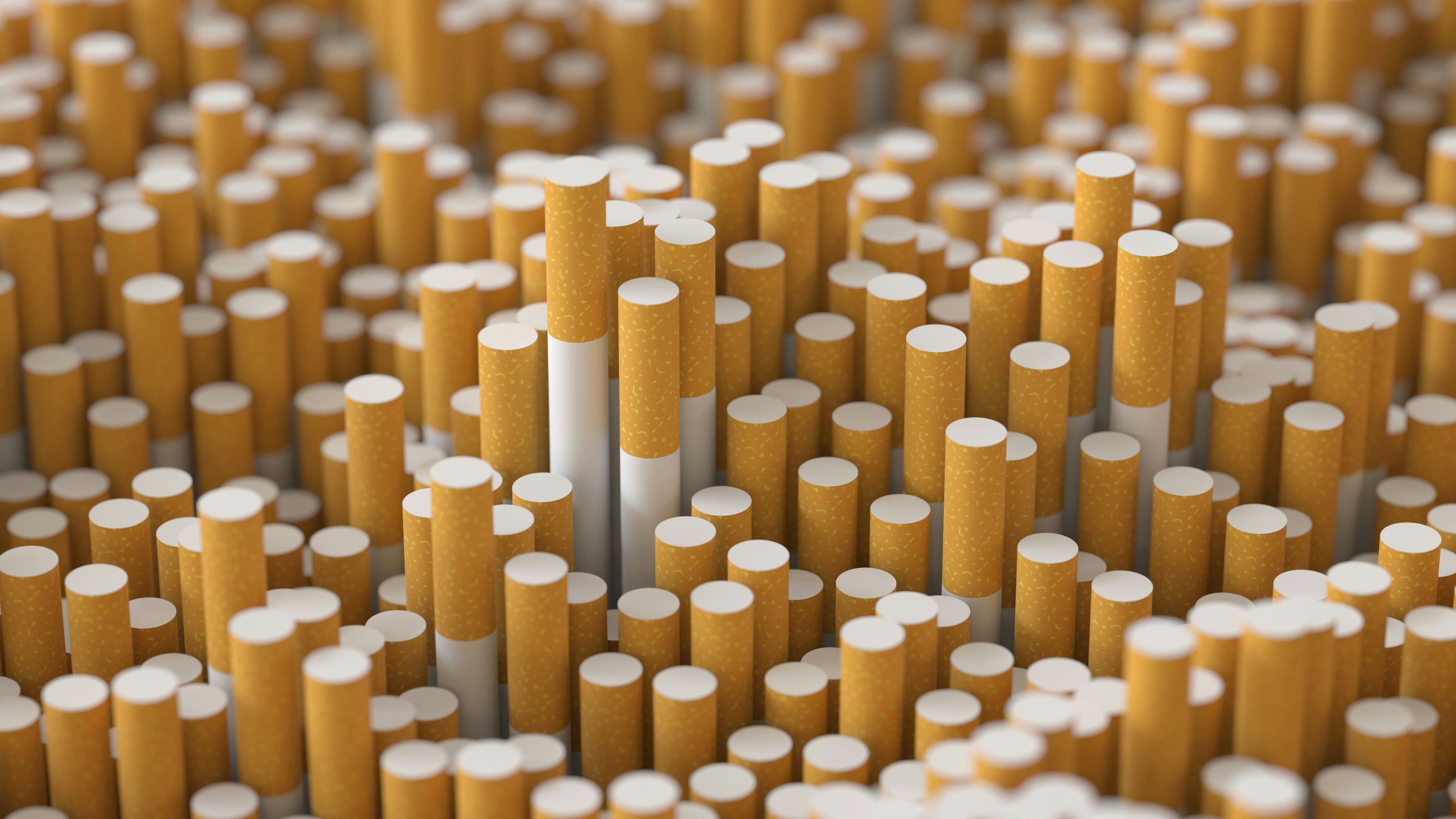 Heute.at - Behörde entdeckt größte illegale Zigarettenfabrik