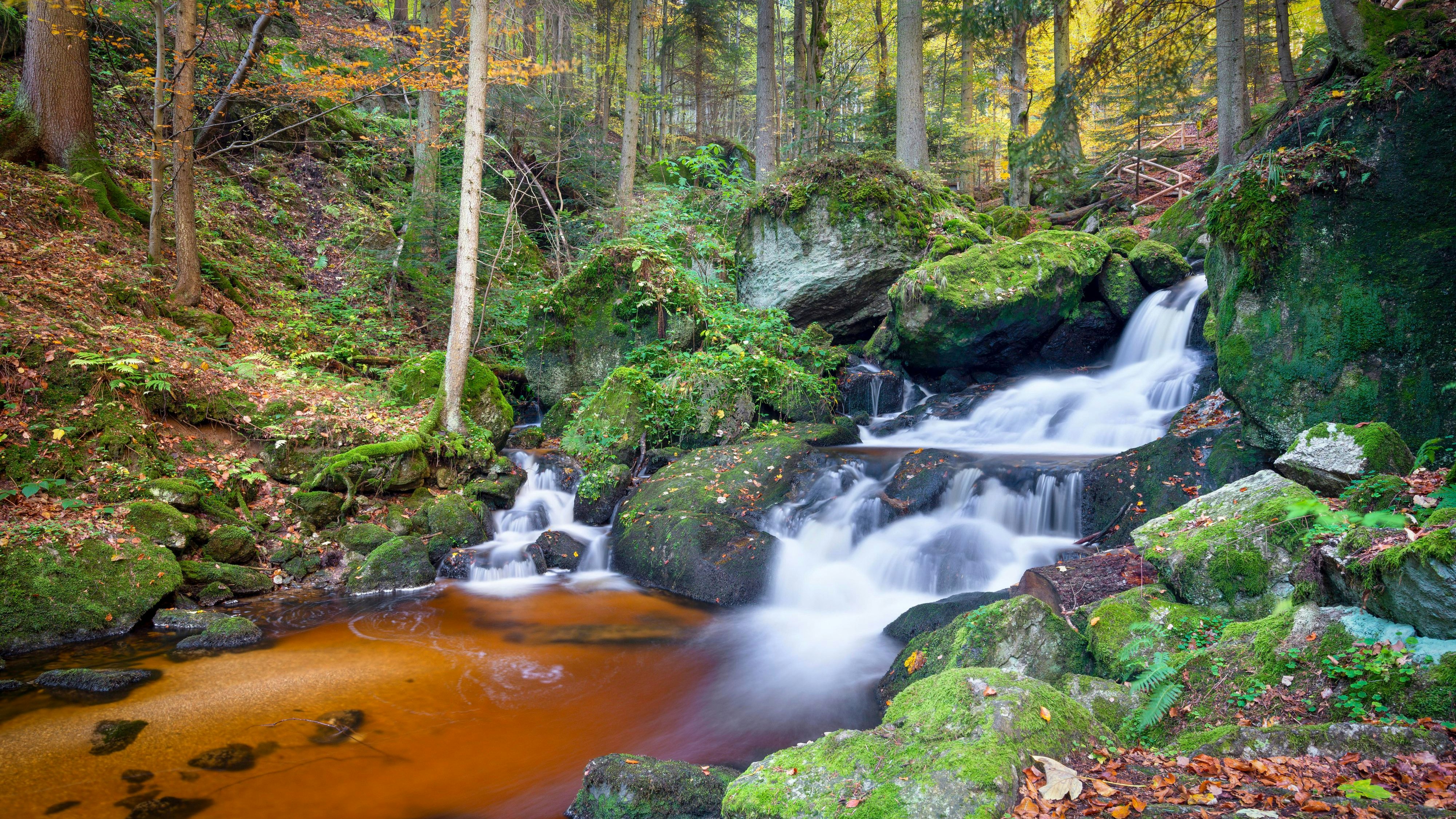 Farbenpracht am Bachverlauf der Ysperklamm im Waldviertel.