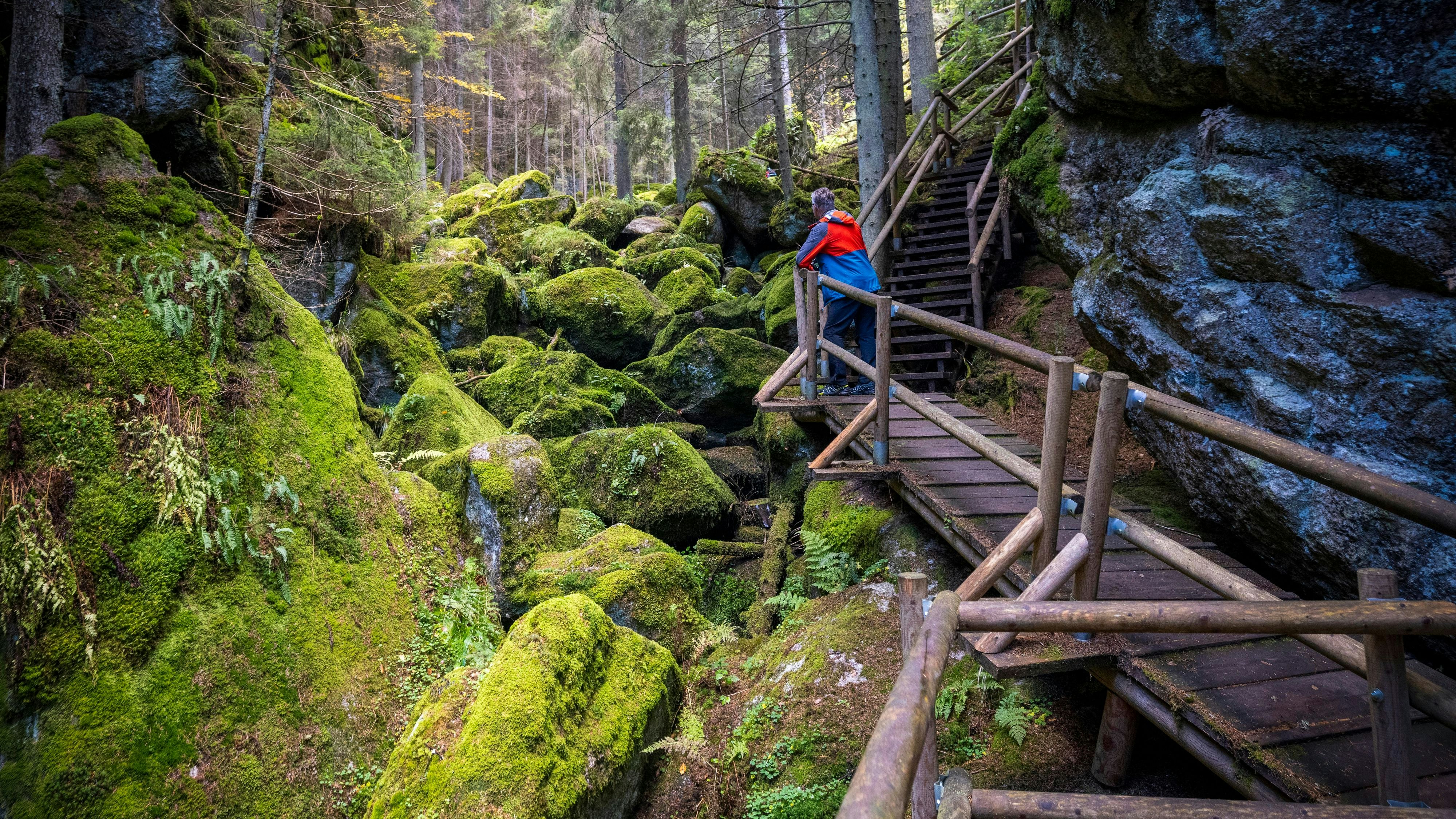 Heute.at - Wandersaison – diese Besonderheiten gibt es nur in NÖ