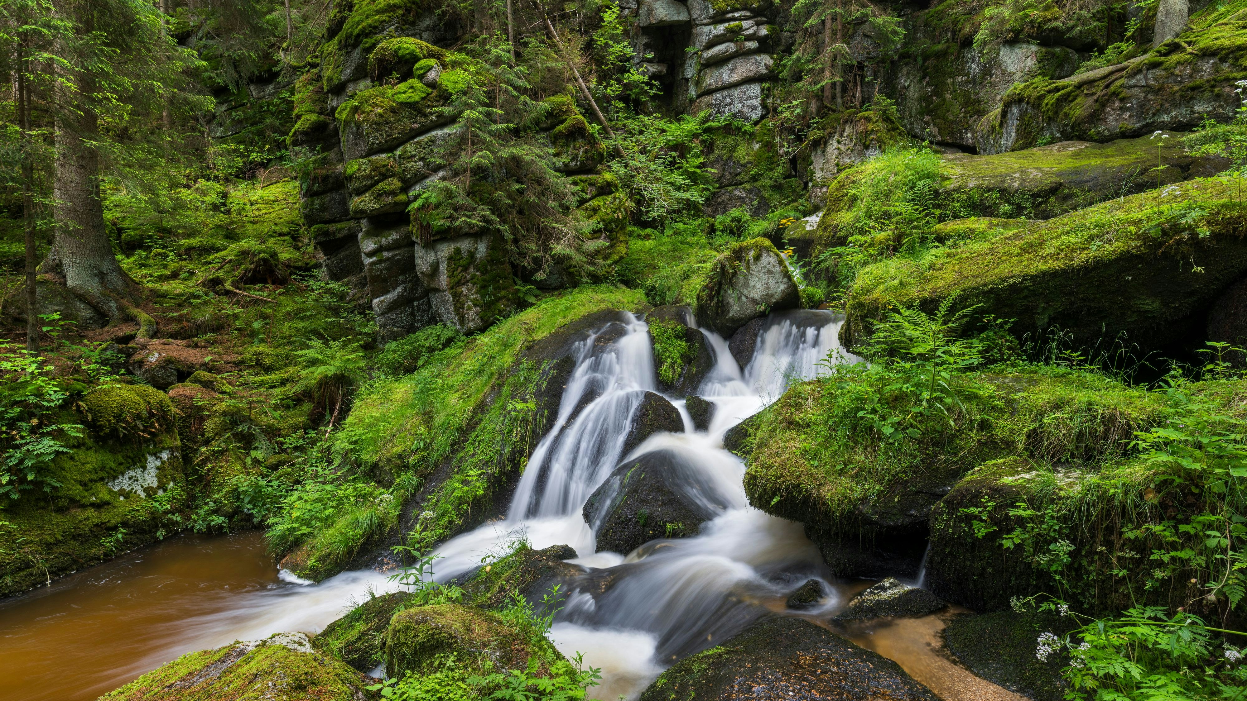 Prächtig. Der Lohnbachfall im niederösterreichischen Waldviertel.