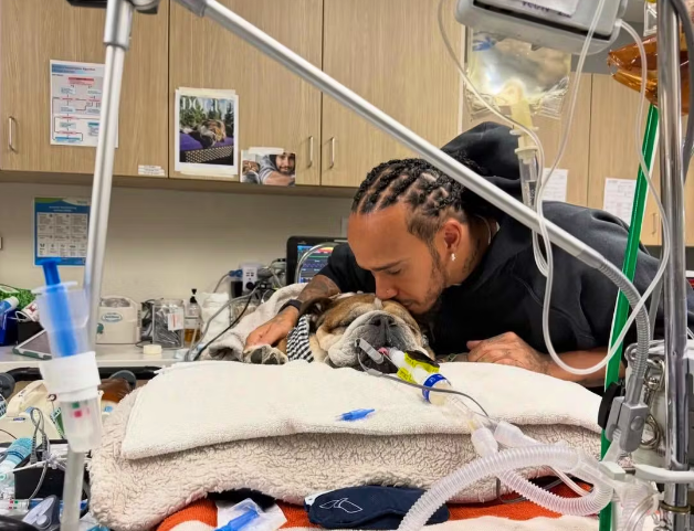 Lewis Hamilton verabschiedet sich von seinem geliebten Hund Roscoe.