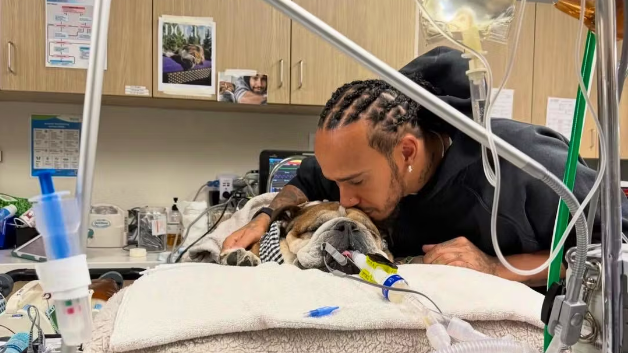 Heute.at - Bester Freund! Hamilton trauert um Wegbegleiter