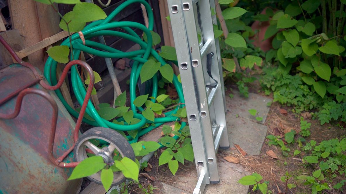 Heute.at - Tiroler (74) stürzt von Leiter und ist sofort tot