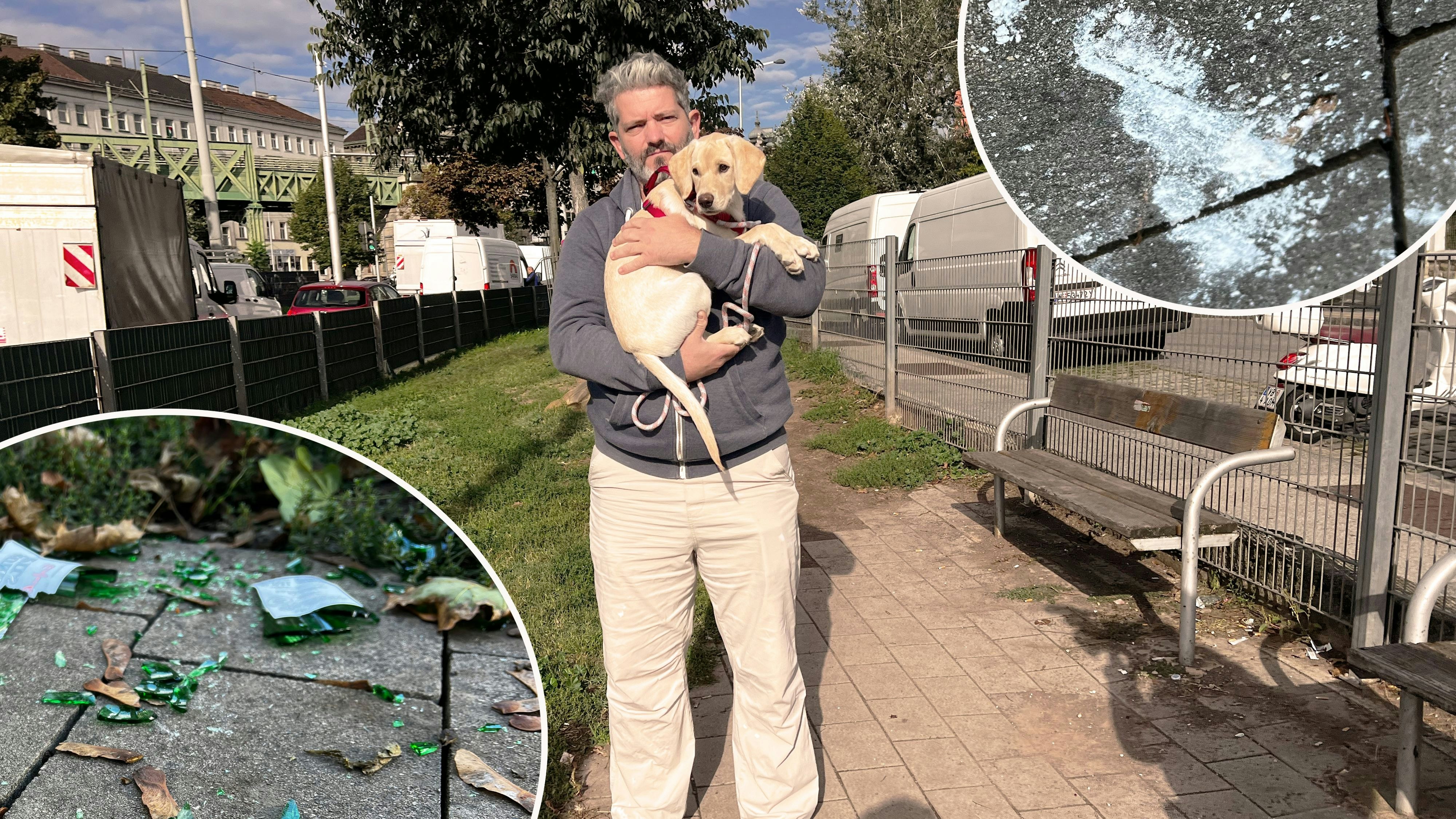 Heute.at - Mein Welpe trat fast in Spritze– Entsetzen im Grätzel