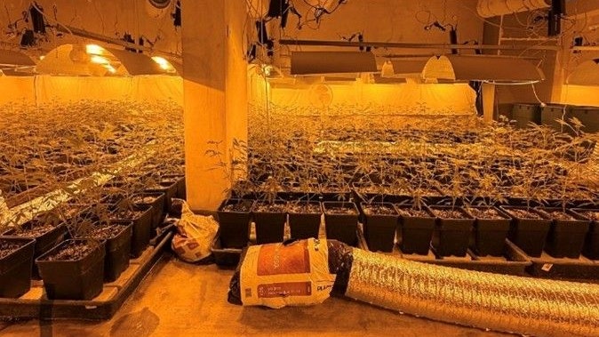 Heute.at - Drogenfahnder heben riesige Hanf-Plantage in Wien aus