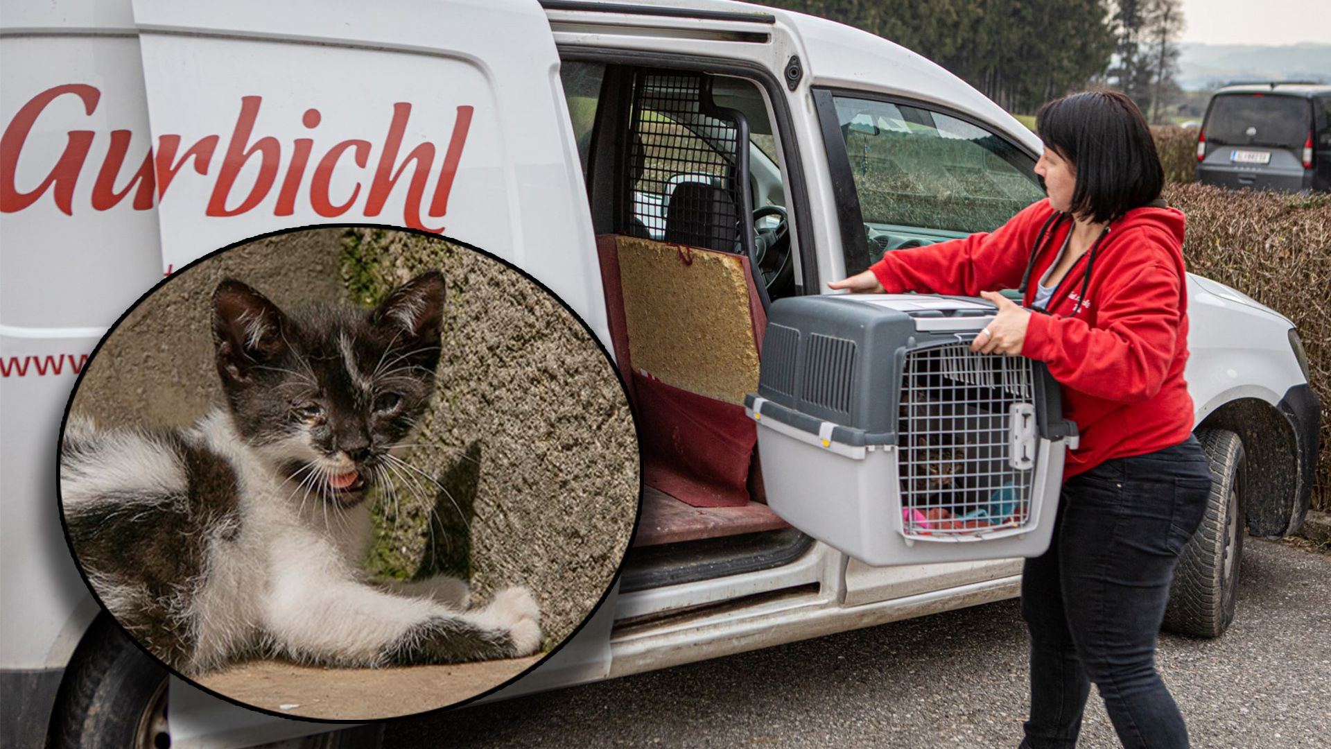 Nur die Kastration kann nachhaltig großes Tierleid verhindern. 