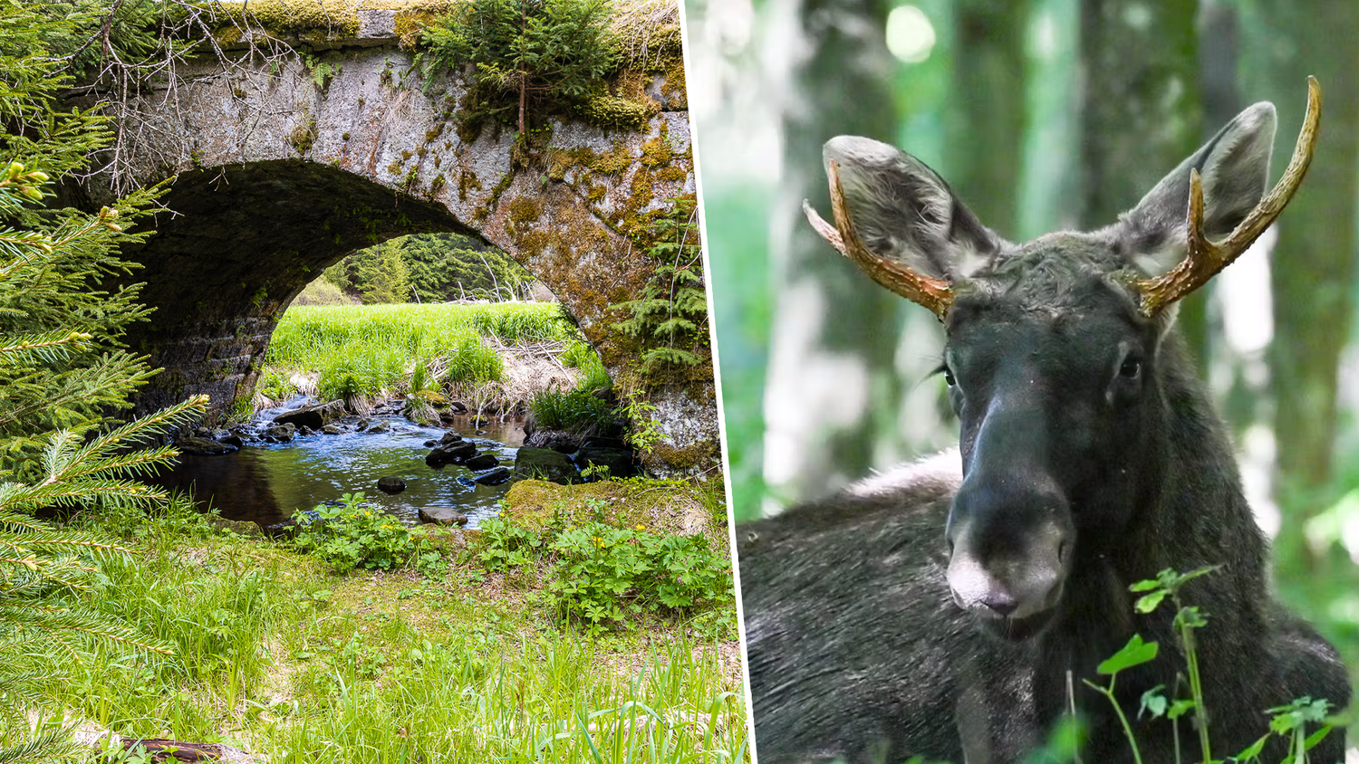 In einem idyllischen Dörflein in Niederbayern scheint es 