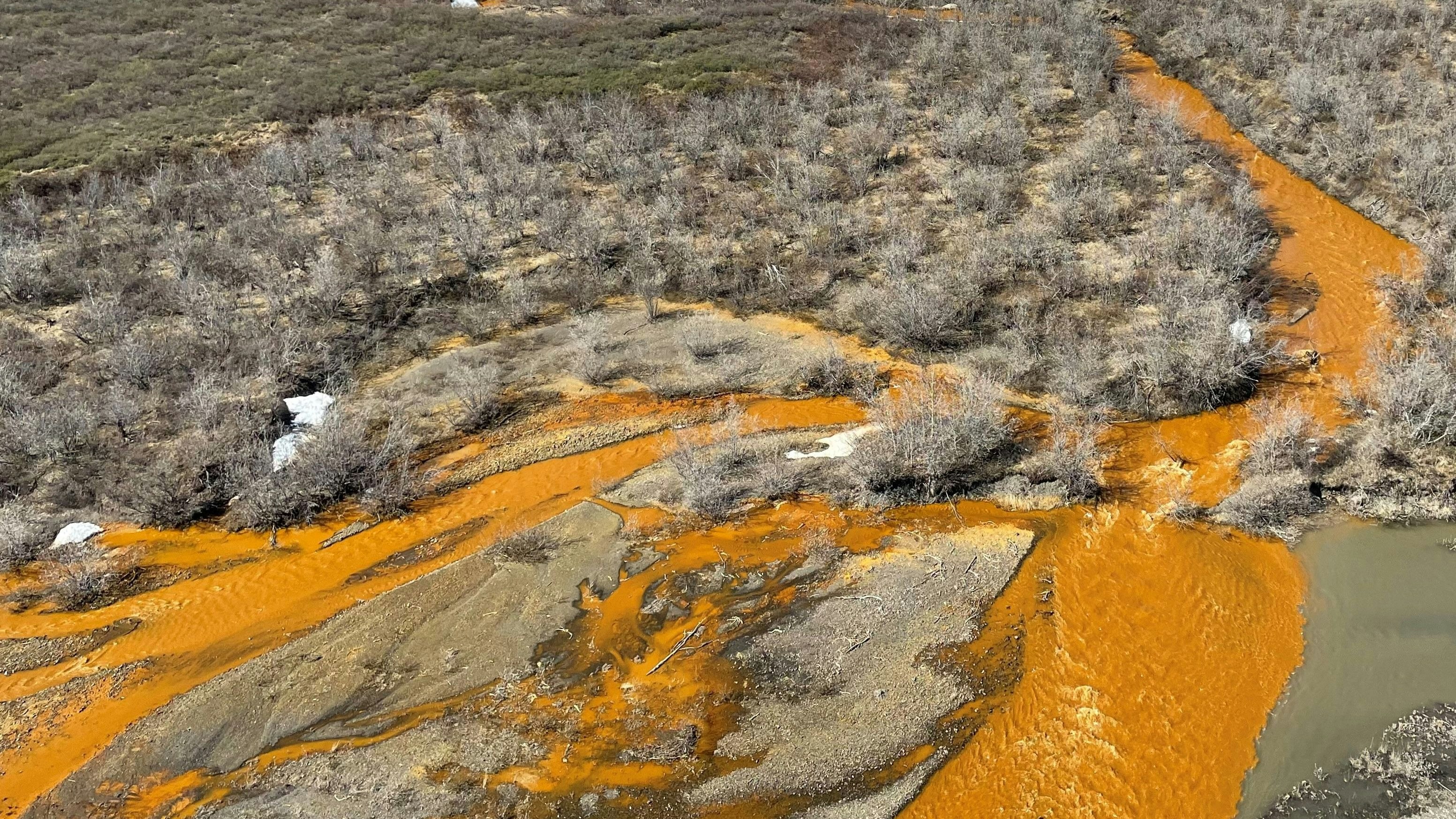 Heute.at - Tierwelt stirbt – das Geheimnis der orangen Flüsse