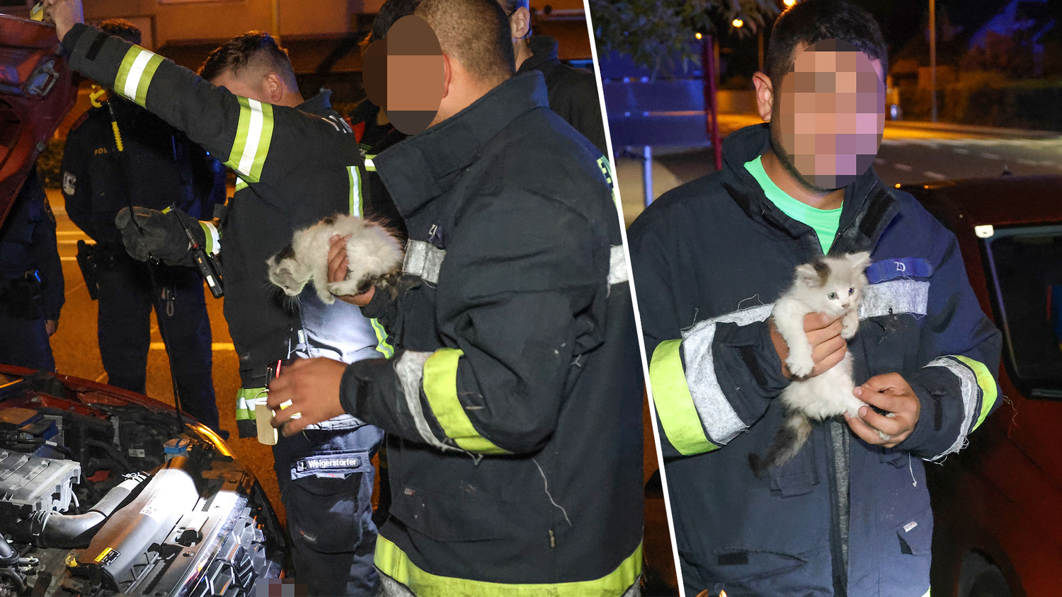 Die Babykatze wurde von der Feuerwehr gerettet.