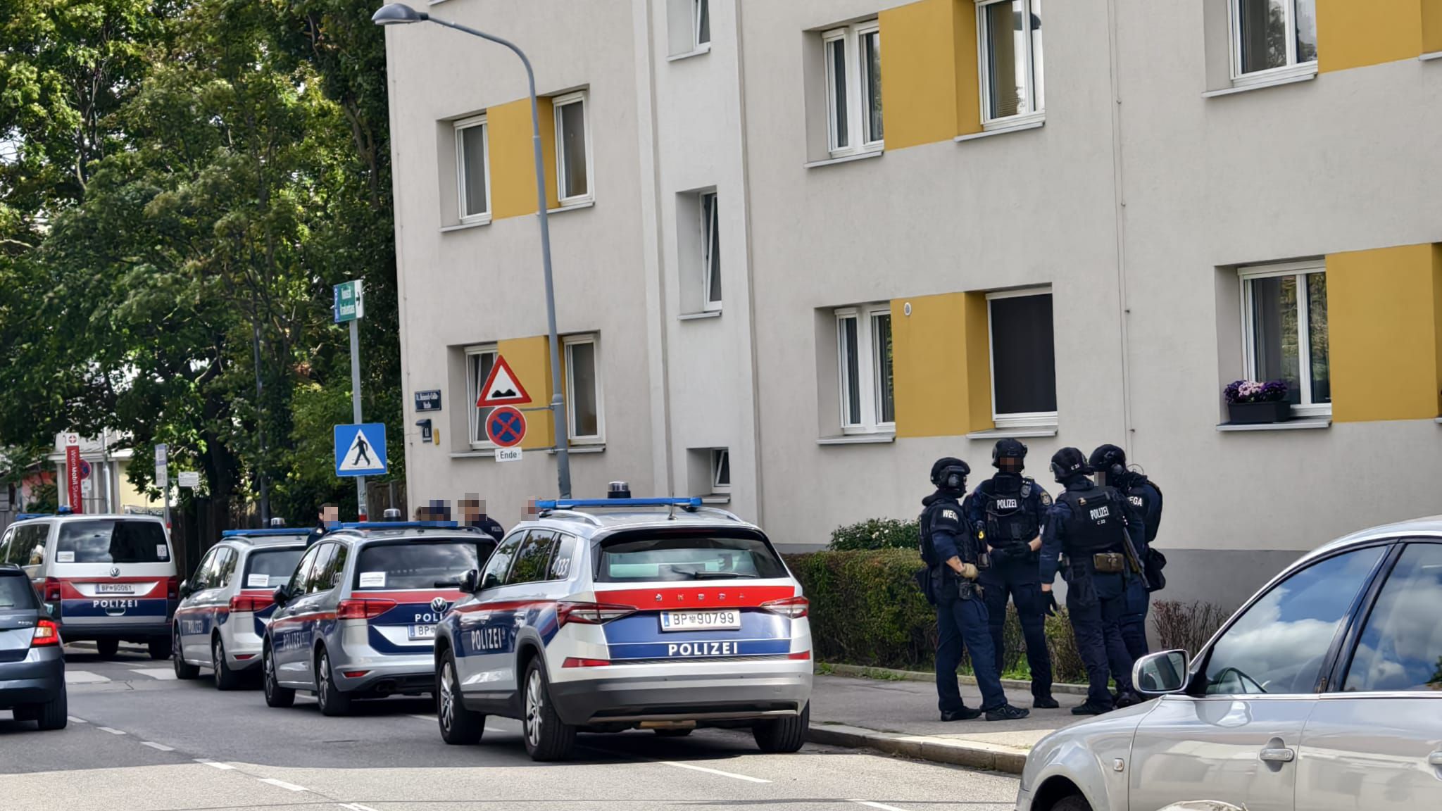 WEGA-Einsatz in Wien (Symbolfoto)