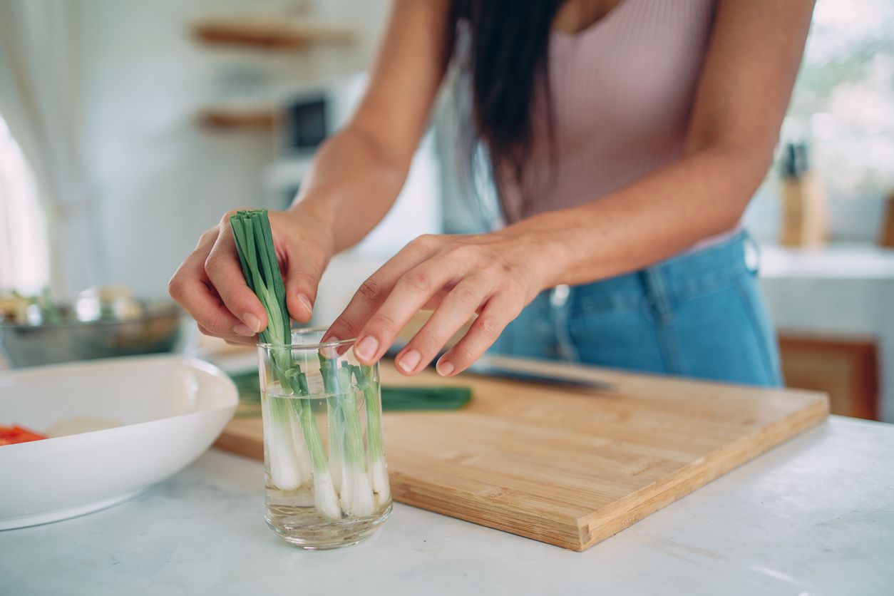 Nachhaltiger Trend: Regrowing