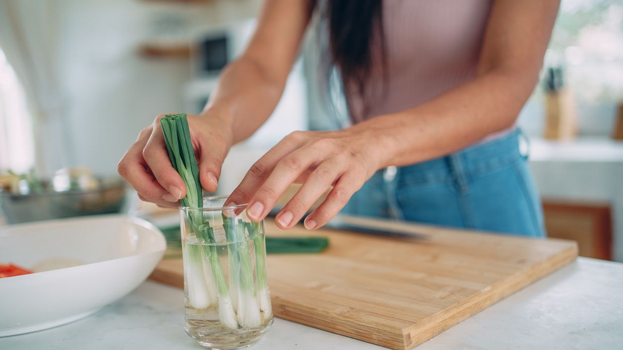 Woman's hands putting a spring onion in a water to regrow it.