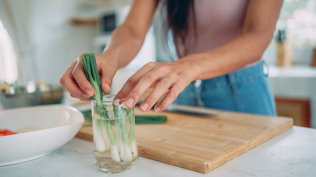 Heute.at - Nicht wegwerfen! Diese Gemüsereste wachsen nach