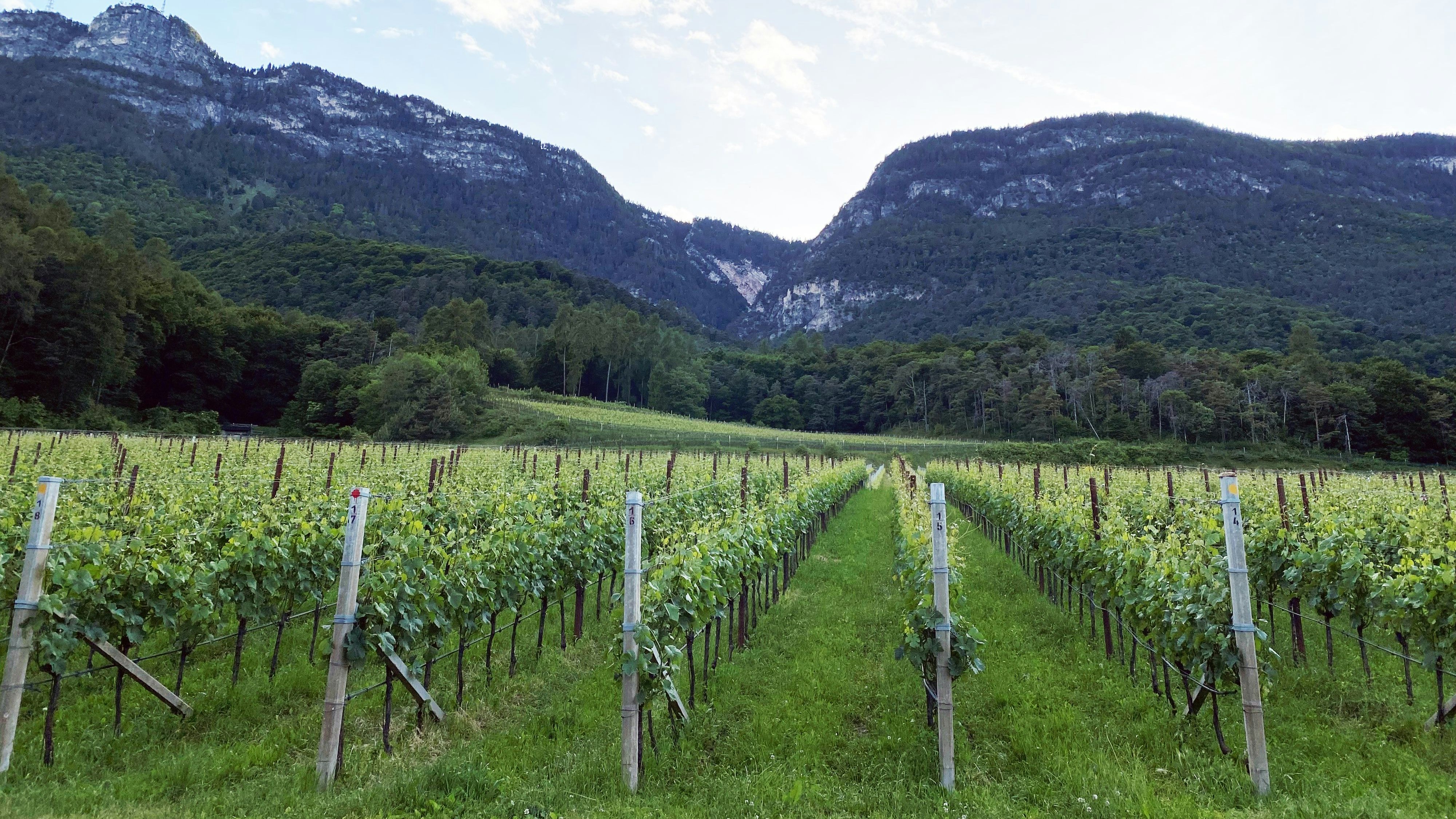 Ein Panorama zum Träumen.