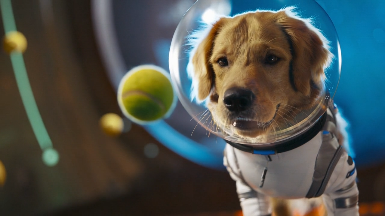 OpenAI, das auch ChatGPT entwickelt hat, stellte jüngst den KI-Videogenerator Sora 2 vor.