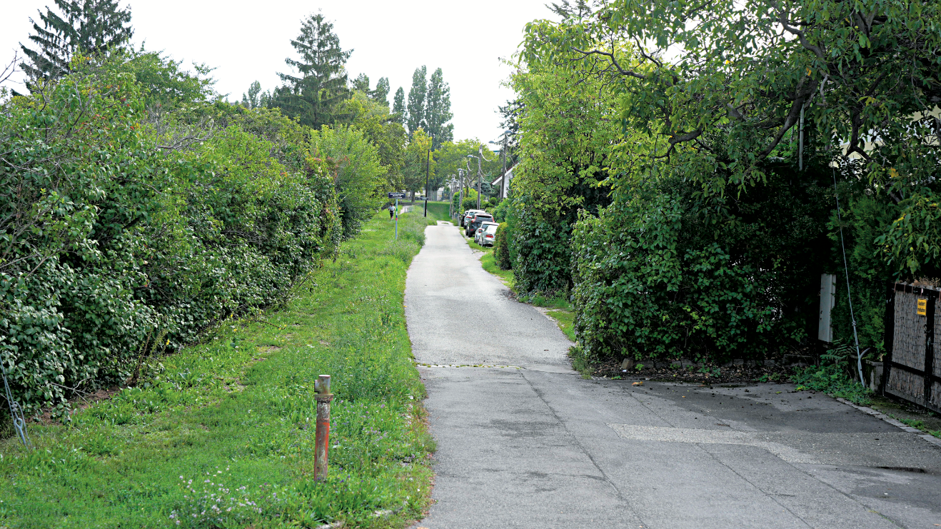 Die Rosenhaingasse ist kaum mehr als ein asphaltierter Feldweg.