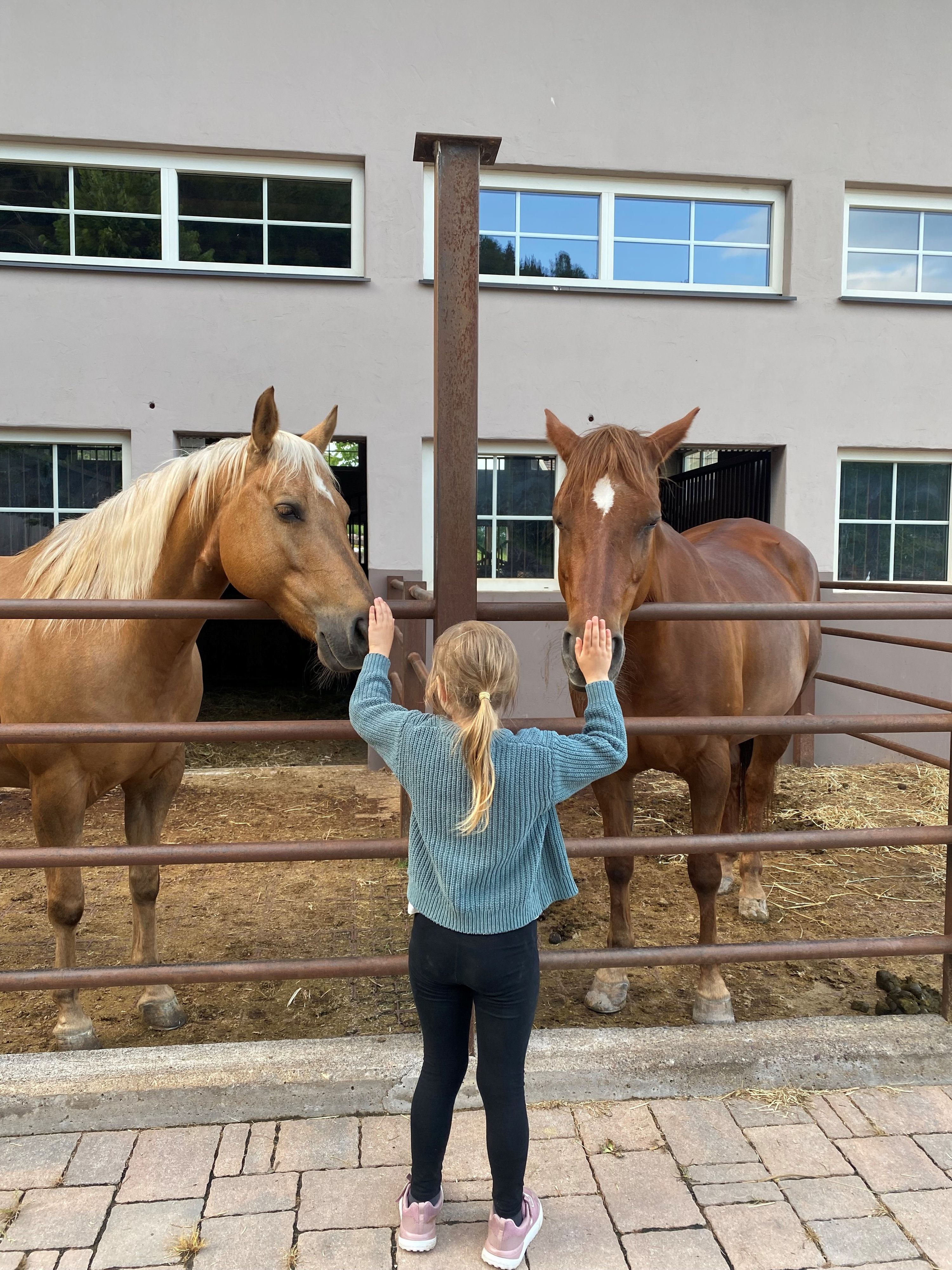 Am Nofnerhof haben sich Elke, Heini und Patrick Hell ihren Traum neben ihren American Quarter Horses erfüllt - und ziehen ihre Gäste mit in den Bann.
