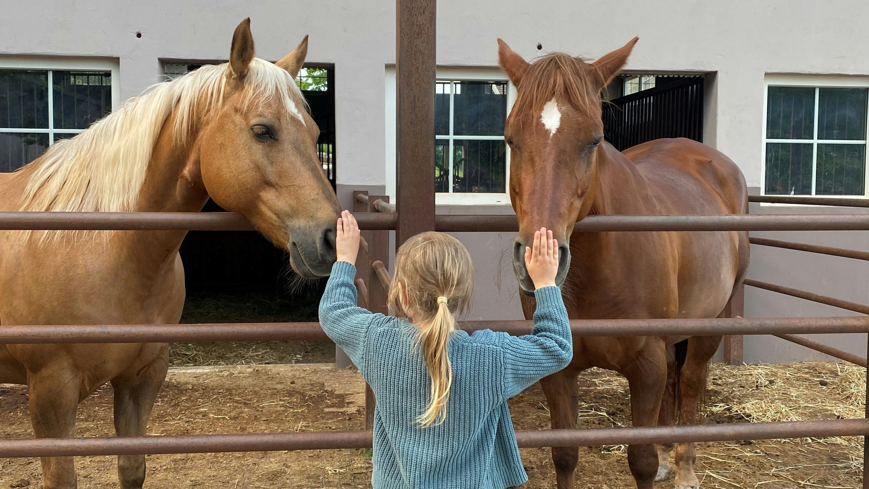 Heute.at - Mehr als nur Urlaub am Bauernhof
