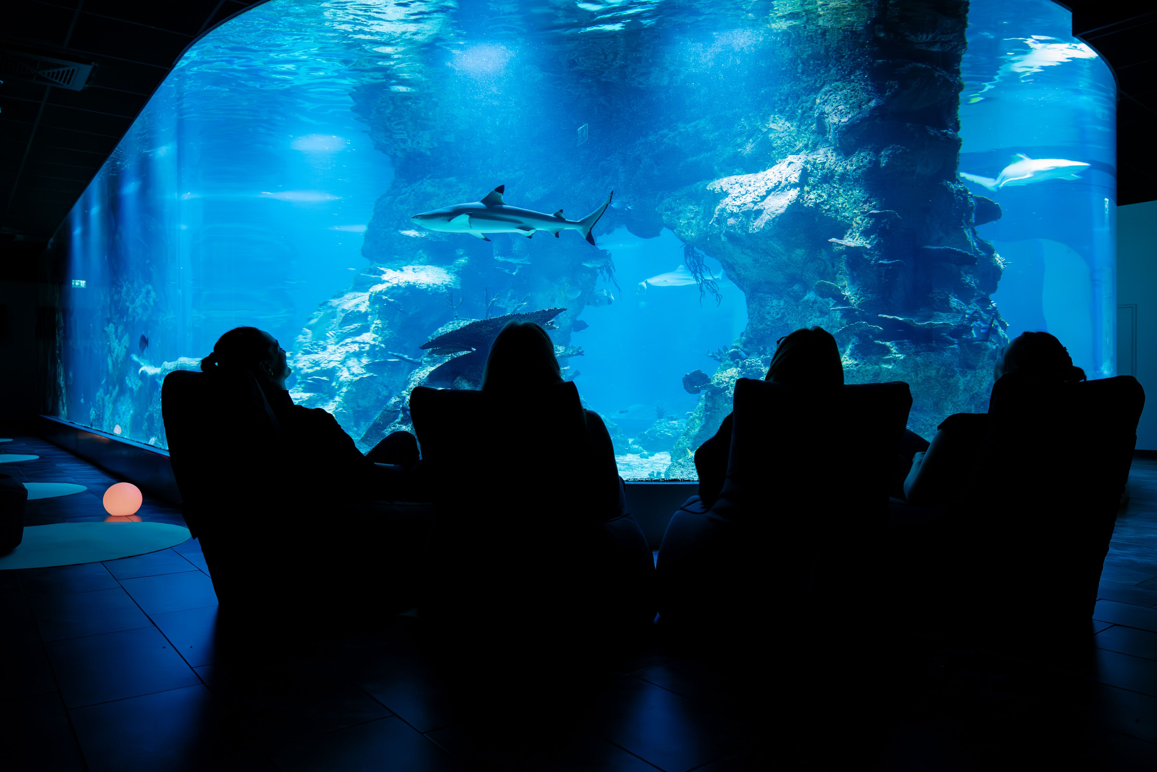 Wien erlebte das Samsung-Sleeptember-Finale mit Unterwasser-Flair.