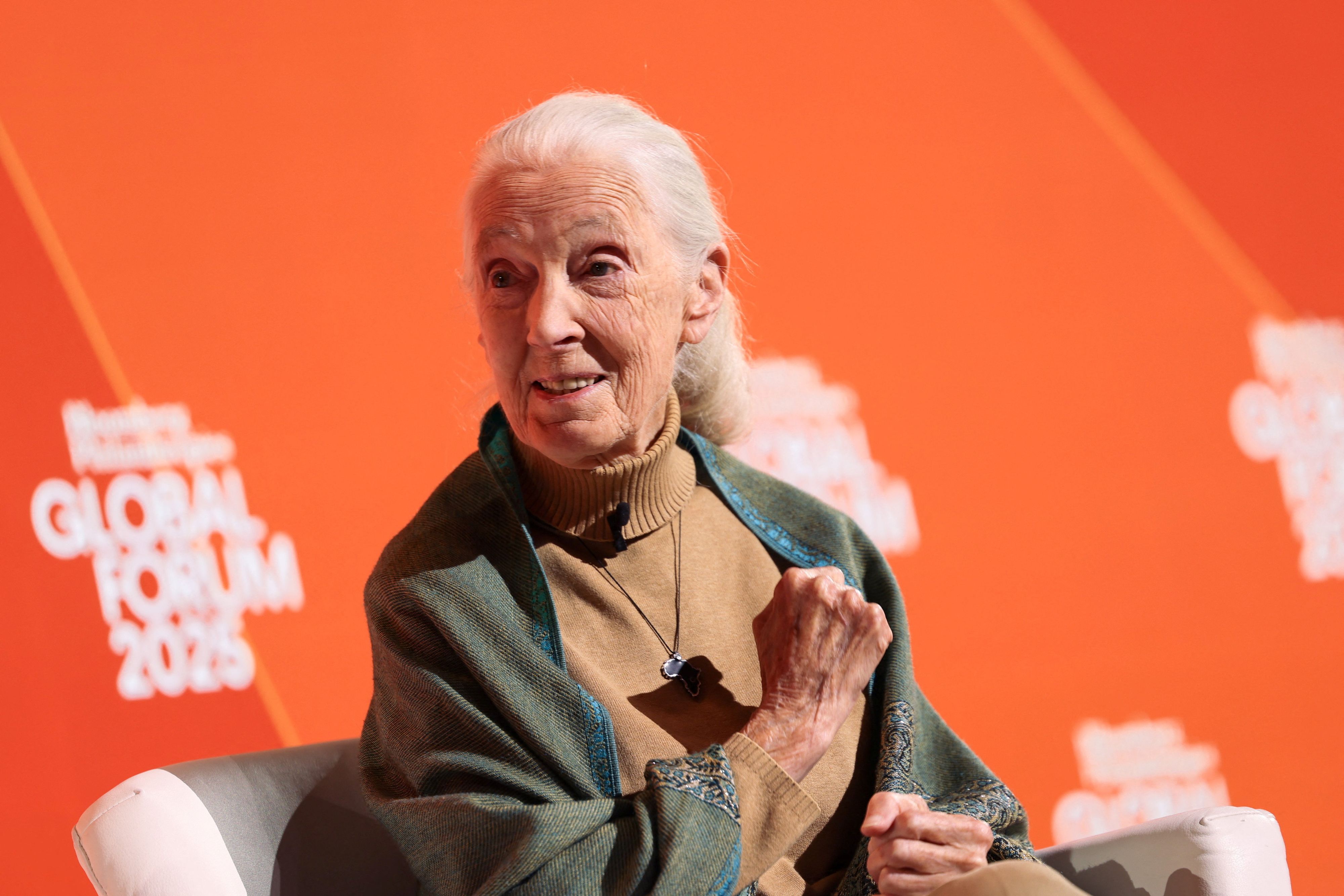 Jane Goodall wurde 91 Jahre alt.