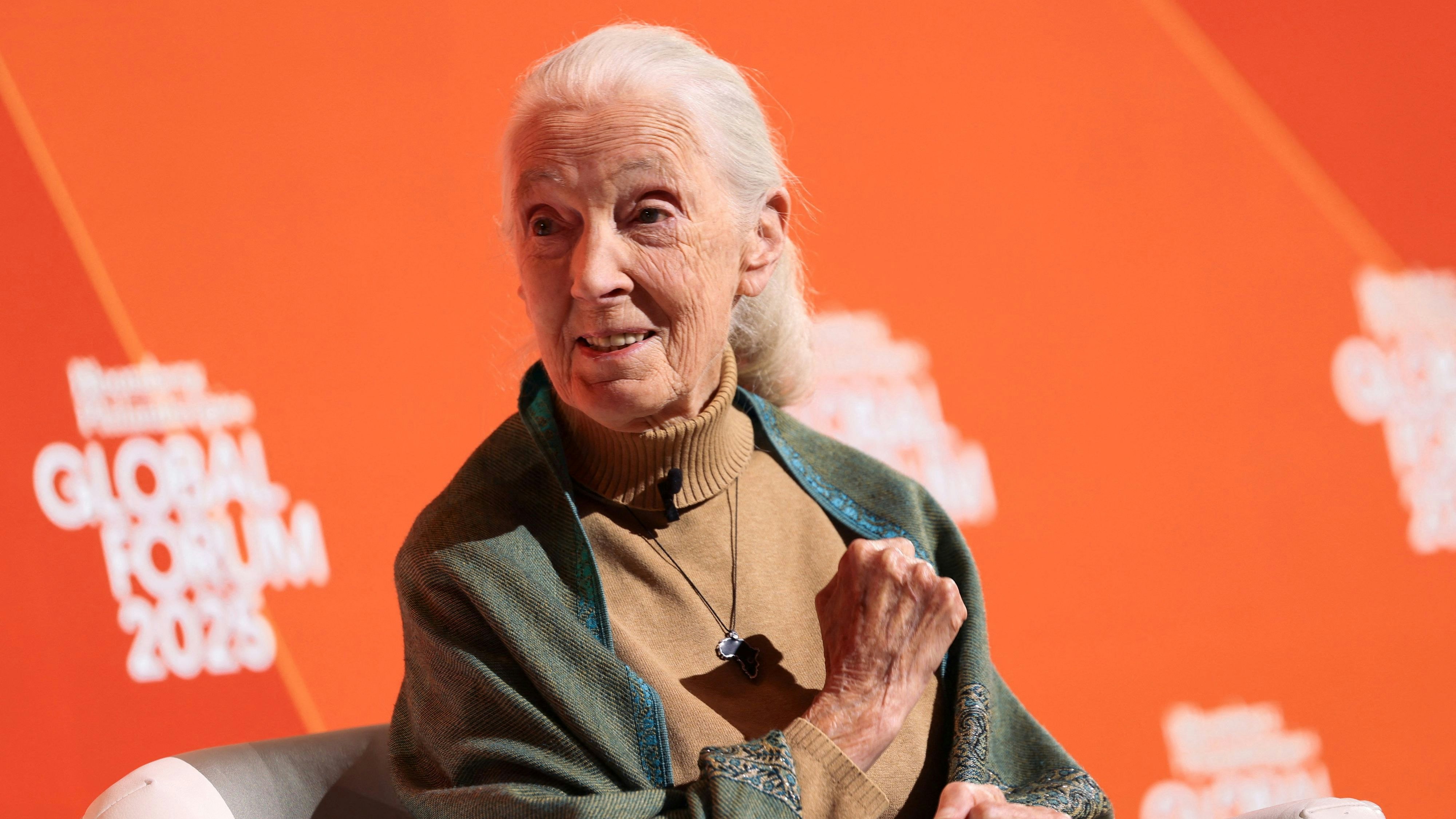 Heute.at - Sie widmete ihr Leben den Affen – Jane Goodall ist tot