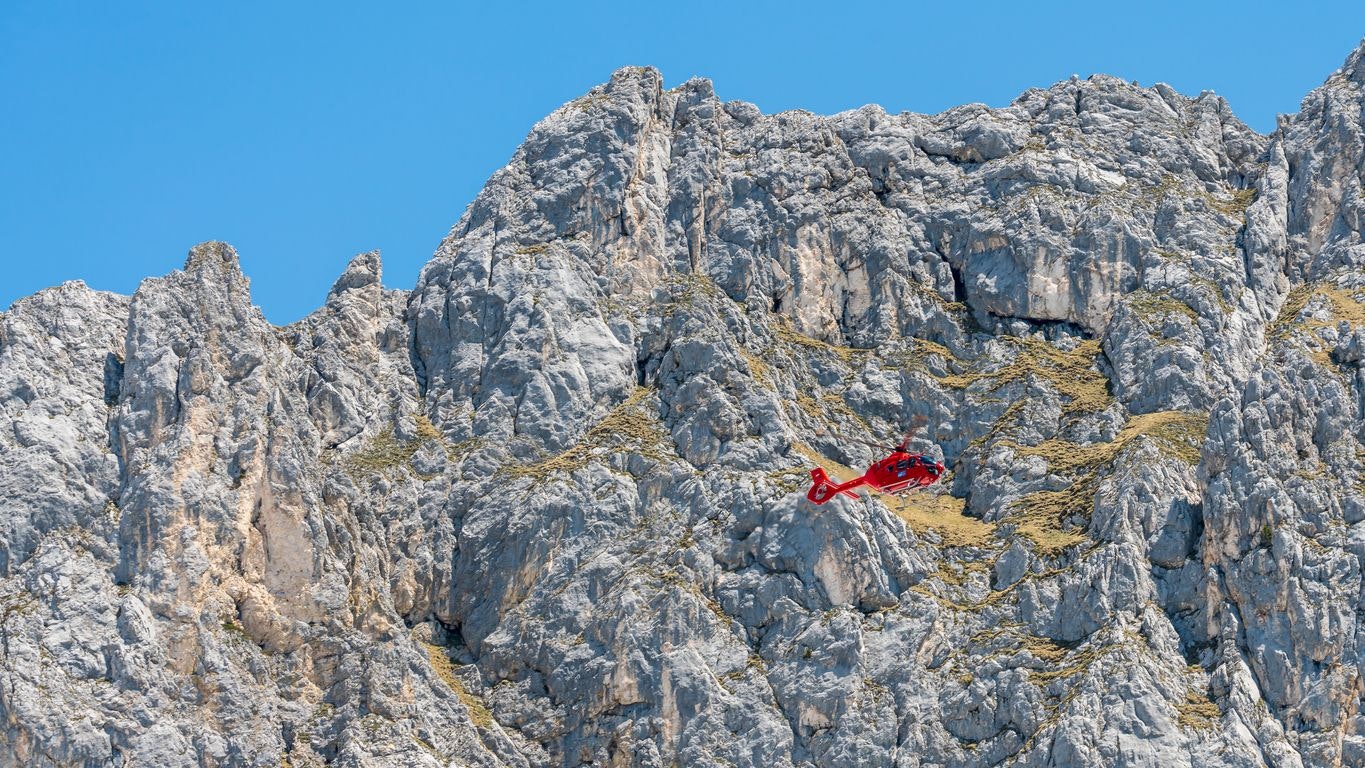Heute.at - Extrem steiles Gelände! Kärntner stürzt in Waldstück ab