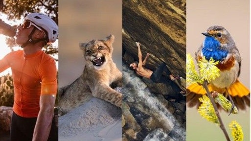 Nikon veröffentlicht umfangreiches Firmware-Update V2.00 für die Z6III.