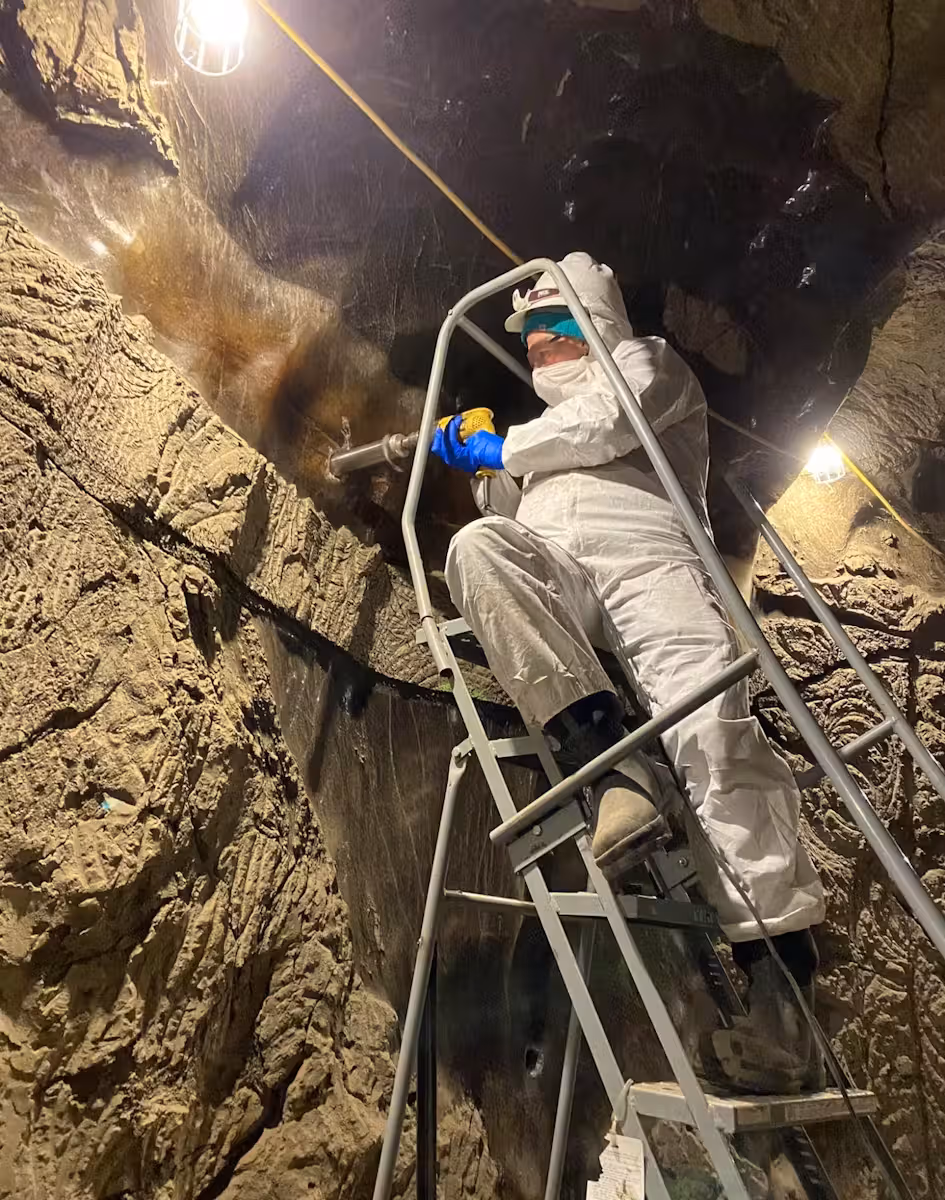 In Alaska haben Forscher Mikroben zum Leben erweckt, die rund 40'000 Jahre lang im Permafrost eingefroren waren.