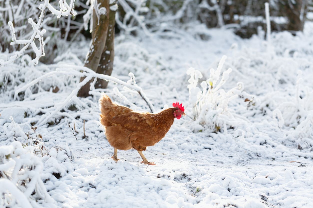 Es wird frostig. (Symbolbild)