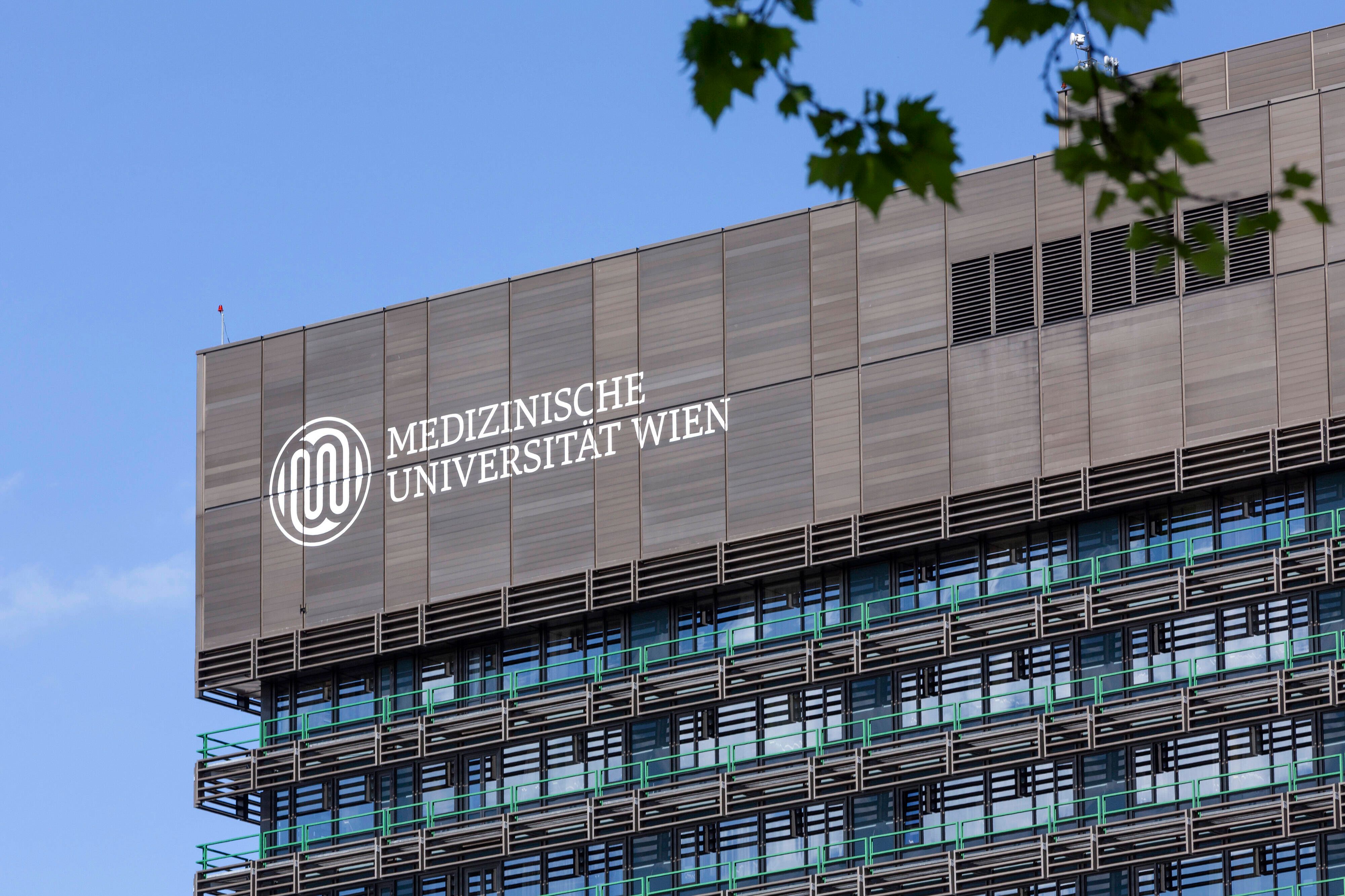 Absolventen einer öffentlichen Medizinuni sollen sich nach ihrem Studium dem öffentlichen Dienst verpflichten.