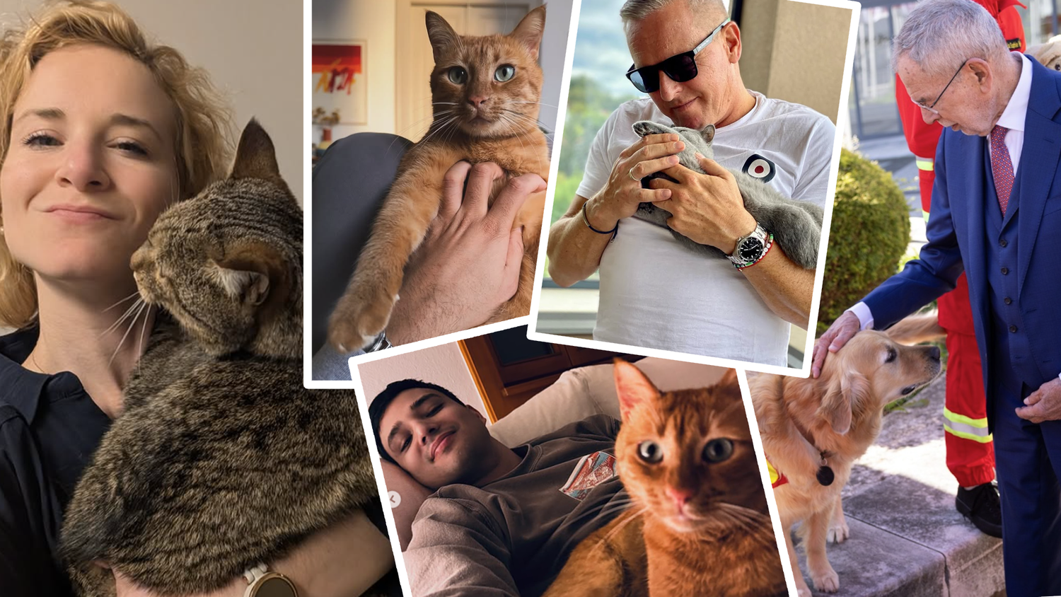 Heute.at - Stubentiger, Rettungshund: Politik zeigt ihre Fellnasen