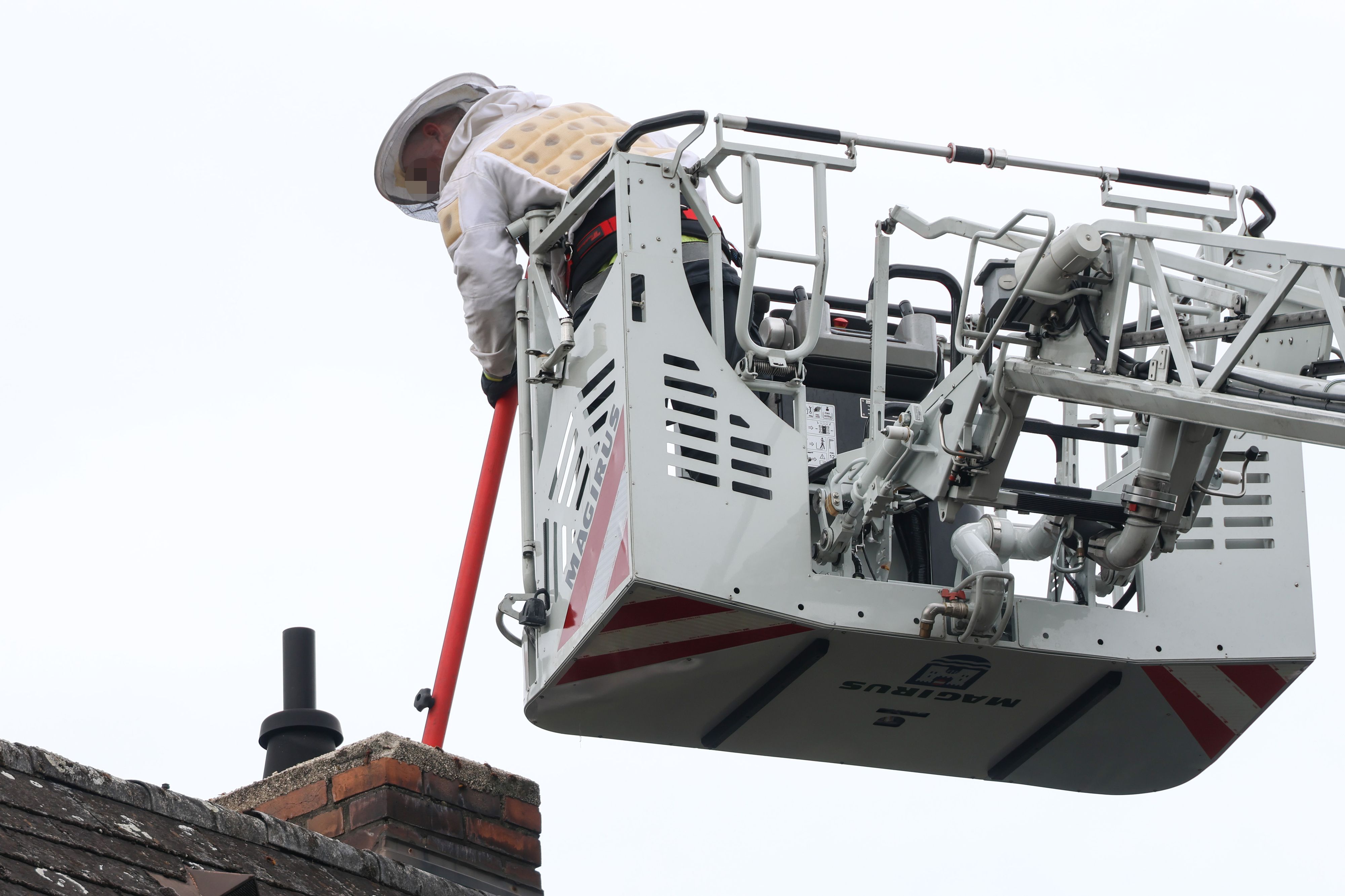 Tierischer Einsatz in luftiger Höhe: Ein Hornissennest hatte einen Kamin verstopft.