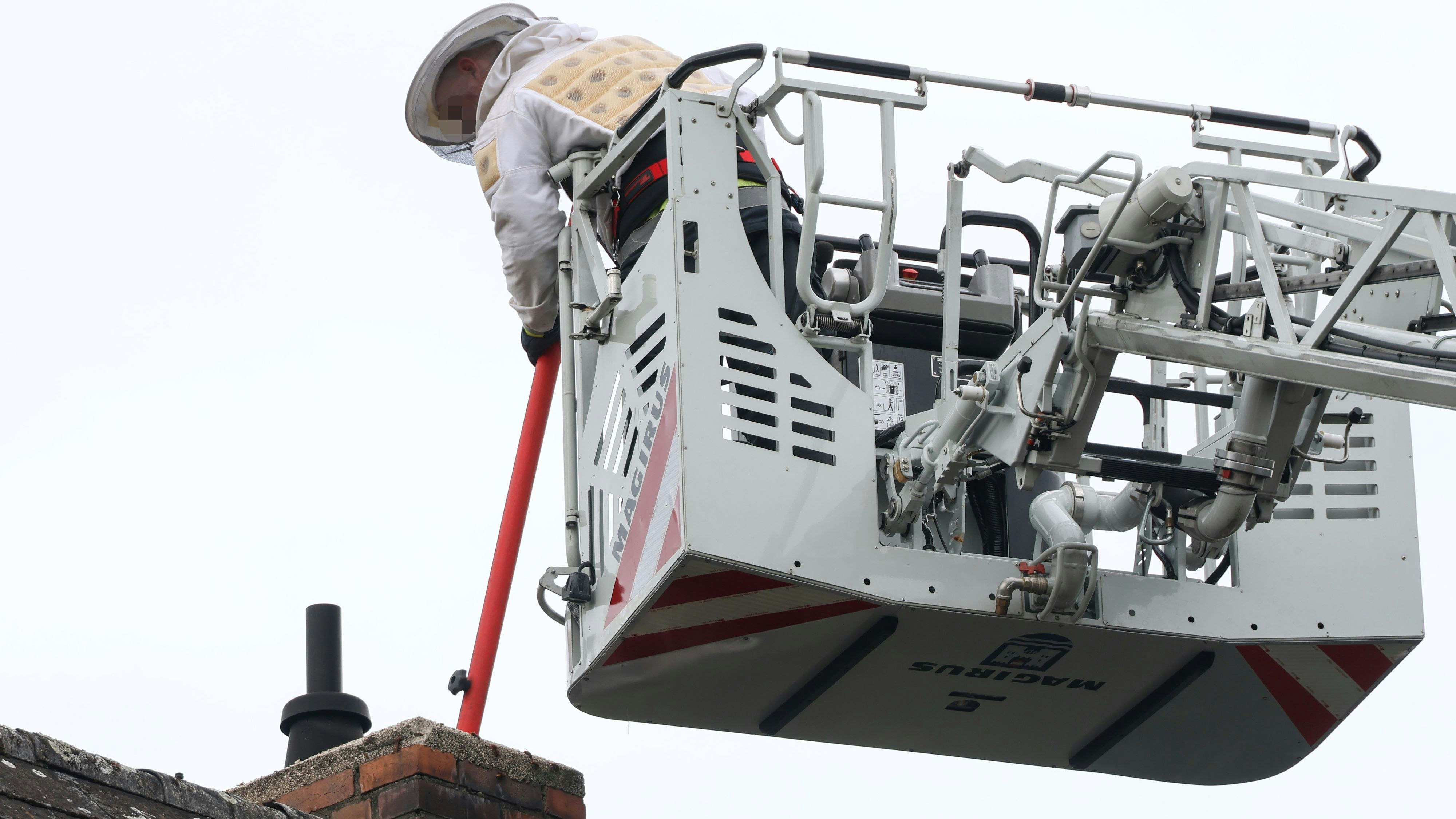 Heute.at - Hornissennest in Kamin – Feuerwehrler müssen anrücken