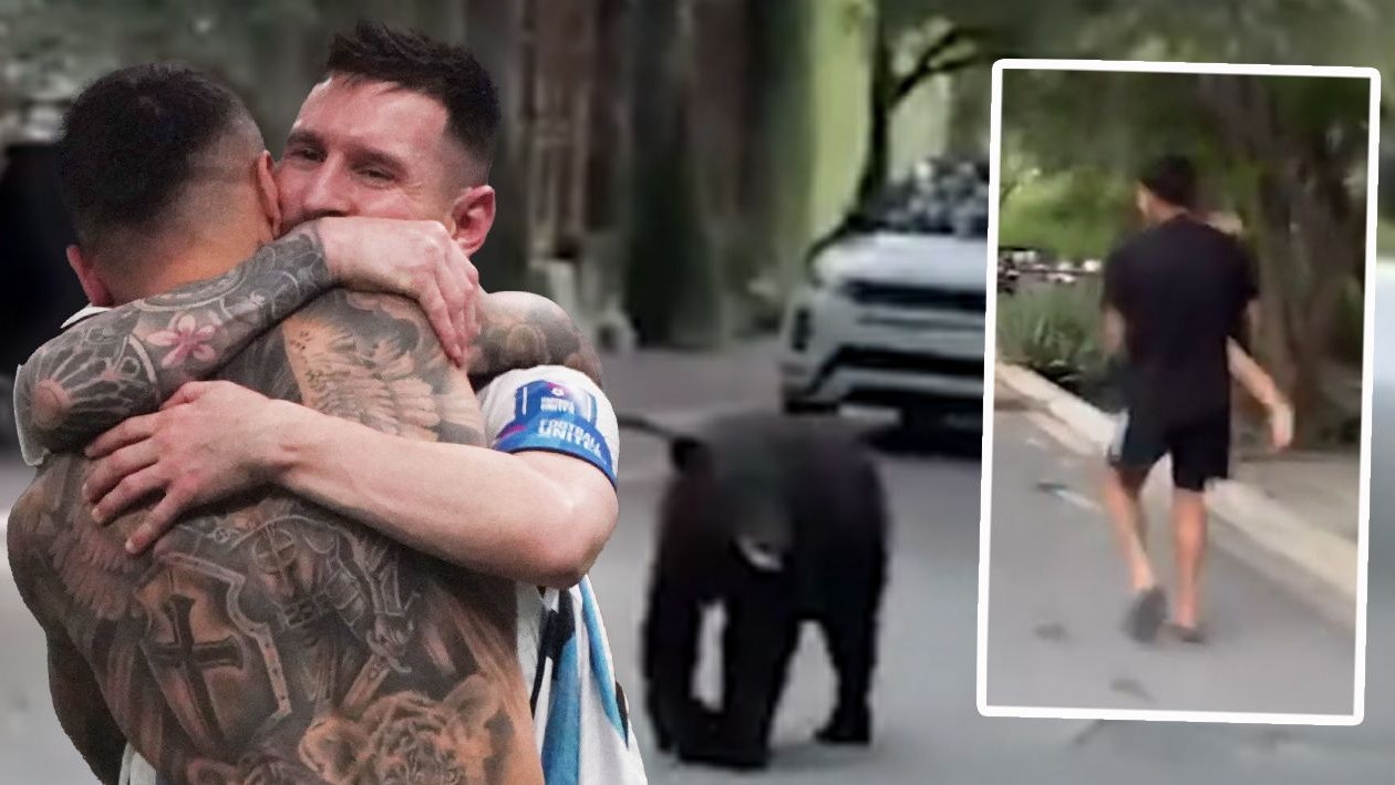 Heute.at - Messis Weltmeister-Kollege flüchtet mit Tochter vor Bär