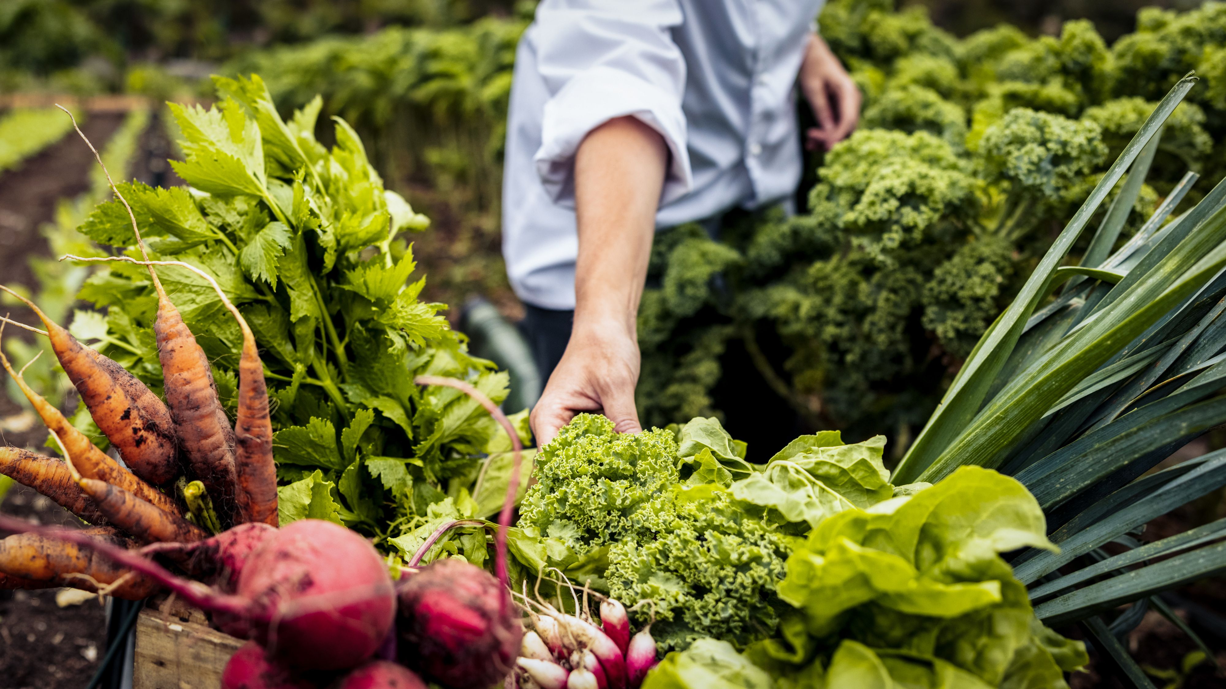 Österreich gilt als Bio-Vorzeigeland. Nun gibt es Kritik an der offiziellen Darstellung.