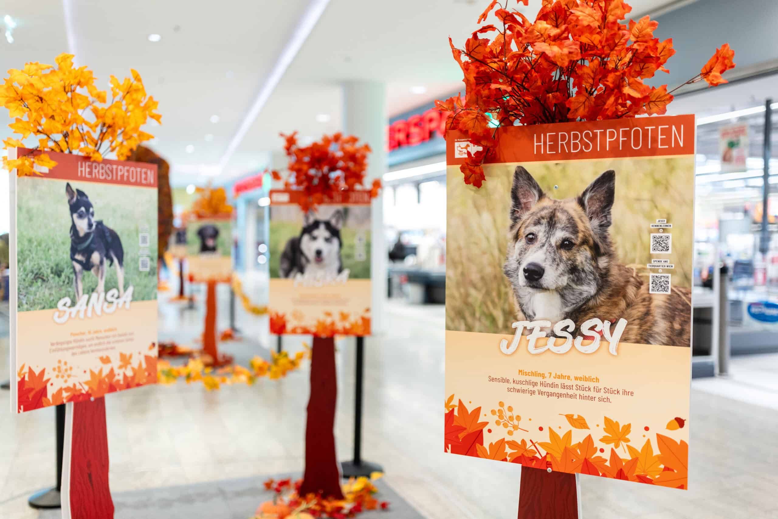 Nur ein Blick kann vielleicht ein Leben verändern.