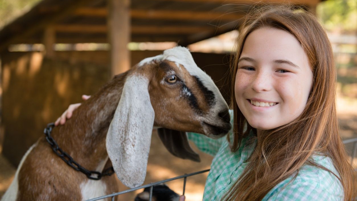 Heute.at - Möchtest auch du der Tierschutz-Champ werden?
