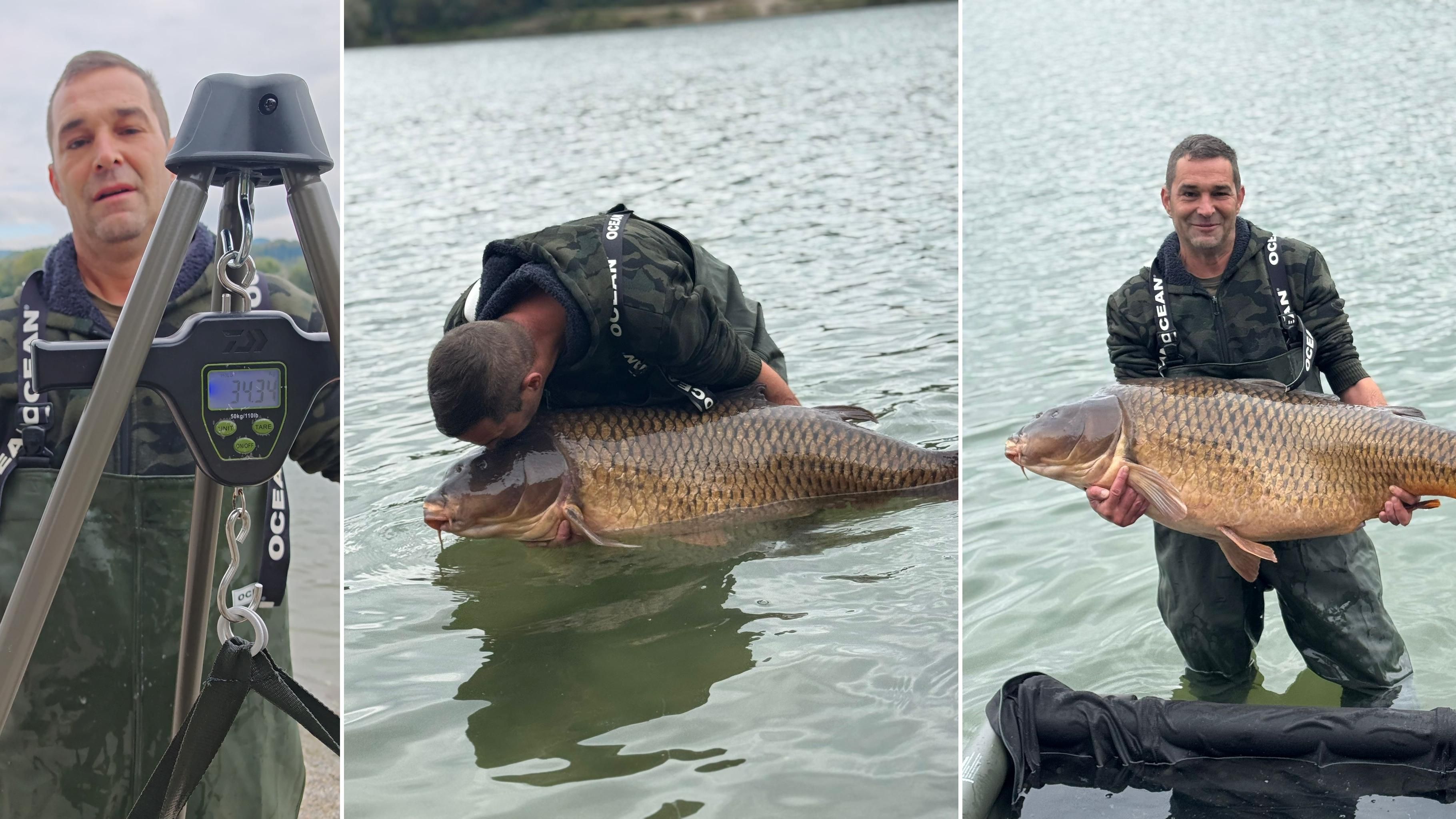 Der Trauner mit dem dicken Fang. Links beim Abwiegen, in der Mitte kurz vor dem Freilassen und rechts mit dem 34-Kilo-Fisch.